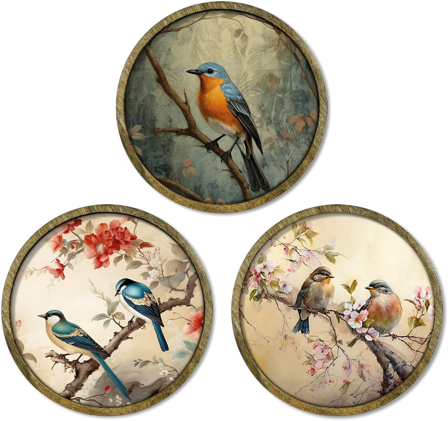 RAG28 Bird Painting Wooden Wall Plates Set of 3, Home Decor Items, Home Decor for Living Room, Bedroom Office (Size: 8 X 8 Inches Each, DP4)