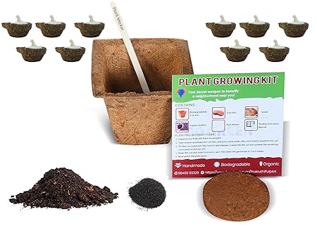 Prakruthi Pulp Art Panchakavya Deepam/Diya/Gobar/Vilakku with Ghee Wick (10 Pcs) | Combo with Coir Pot, Coir Disc, Vermi Compost, Seeds for Navratri, Diwali Gifts