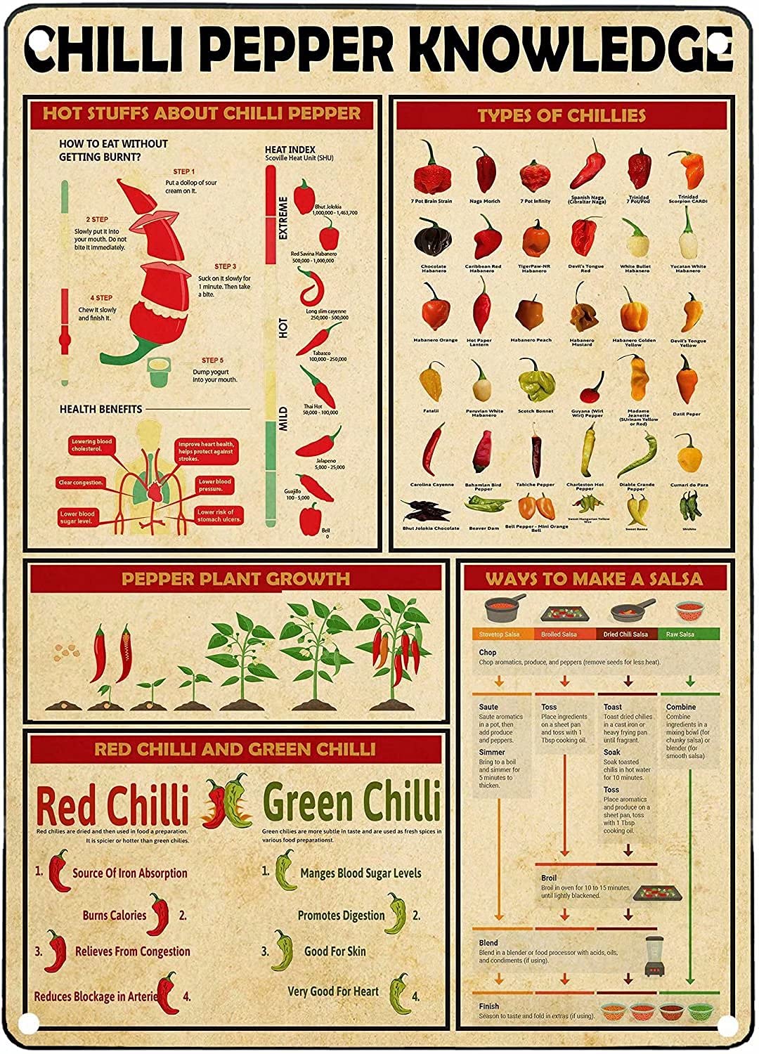 Jiufotk Chilli Pepper Knowledge Posters Science Guide Metal Signs Room Club Decor Wall Decor Vintage Plaque 8X12 Inches