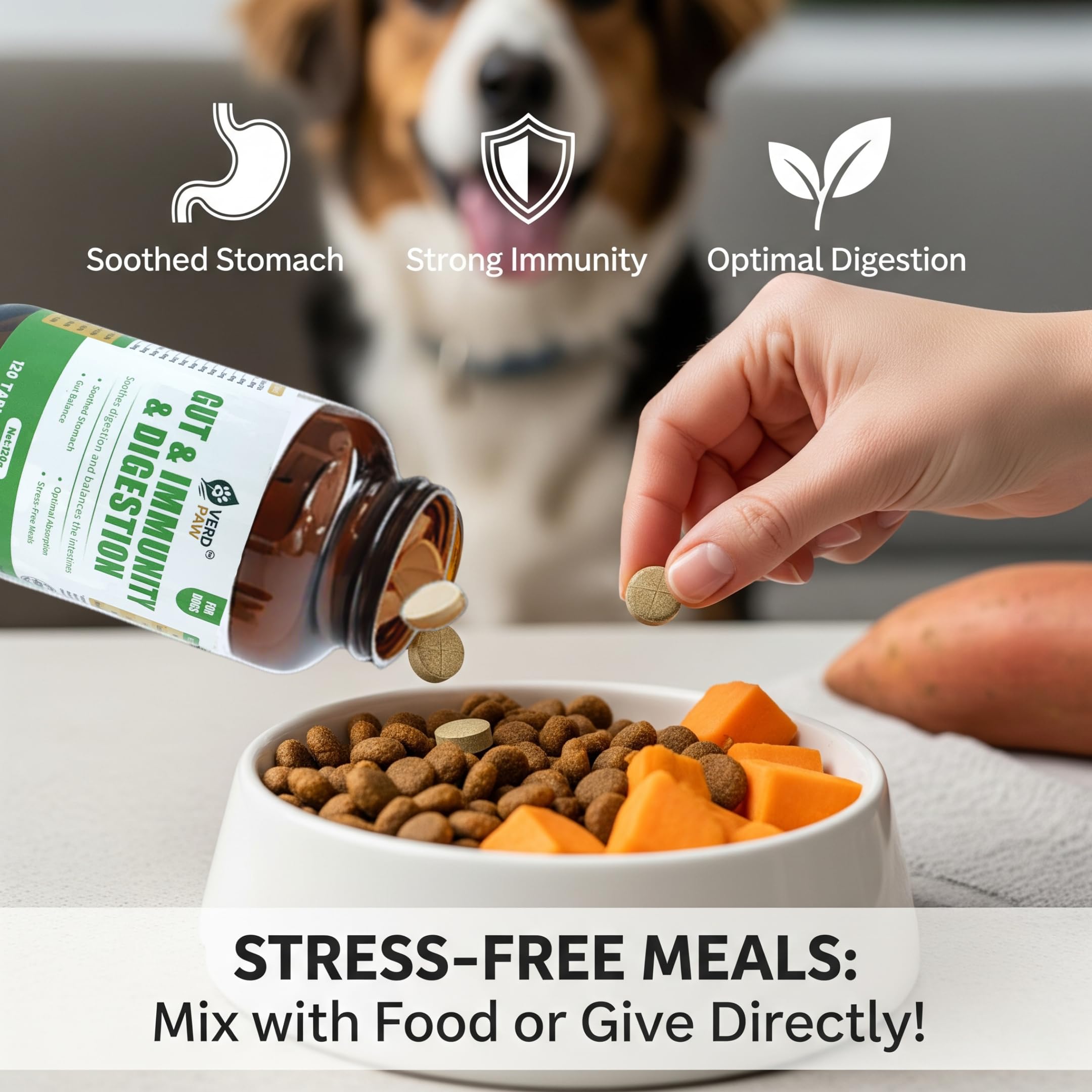 VERD PAW Gut & Immunity & Digestion Dog Tablets with Probiotics, Prebiotics - Image 4