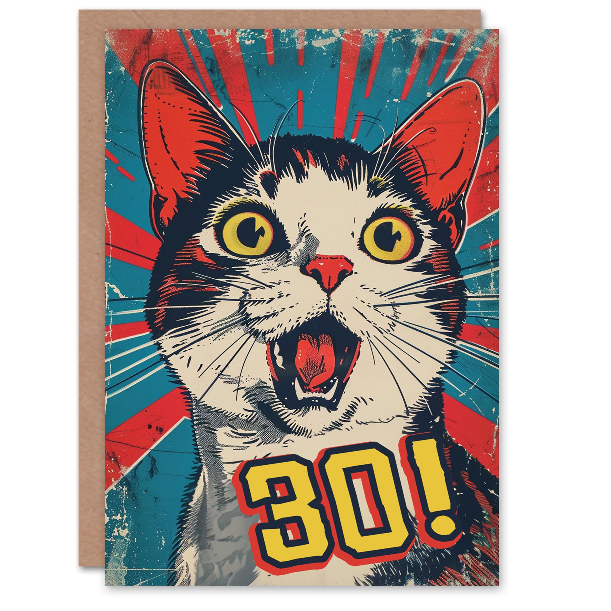 Surprise Retro Style Thirty 30 Year Old Cat Lover Birthday Card