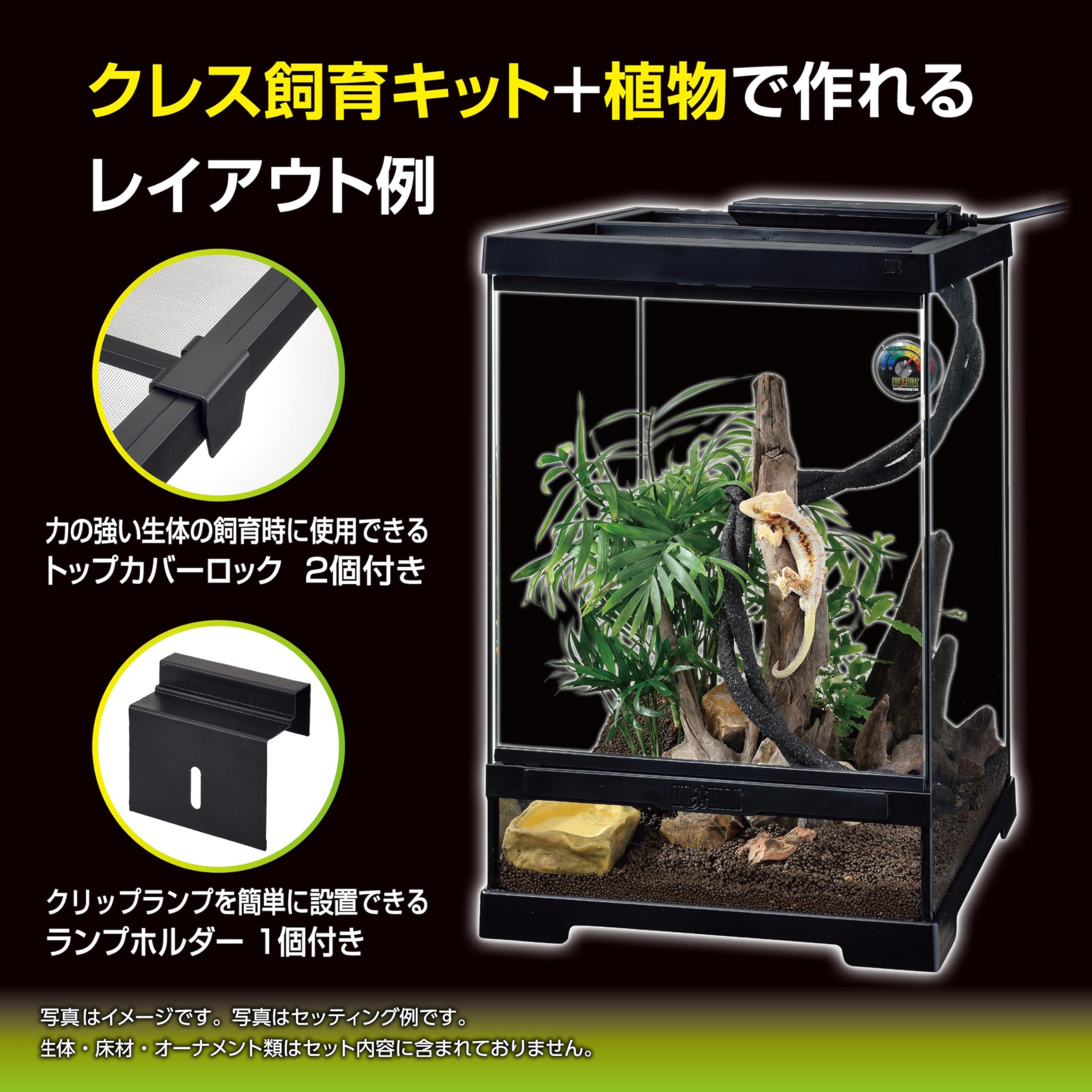 Amazon | エキゾテラ EXOTERRA クレス飼育キットGTP3045【飼育ガイド