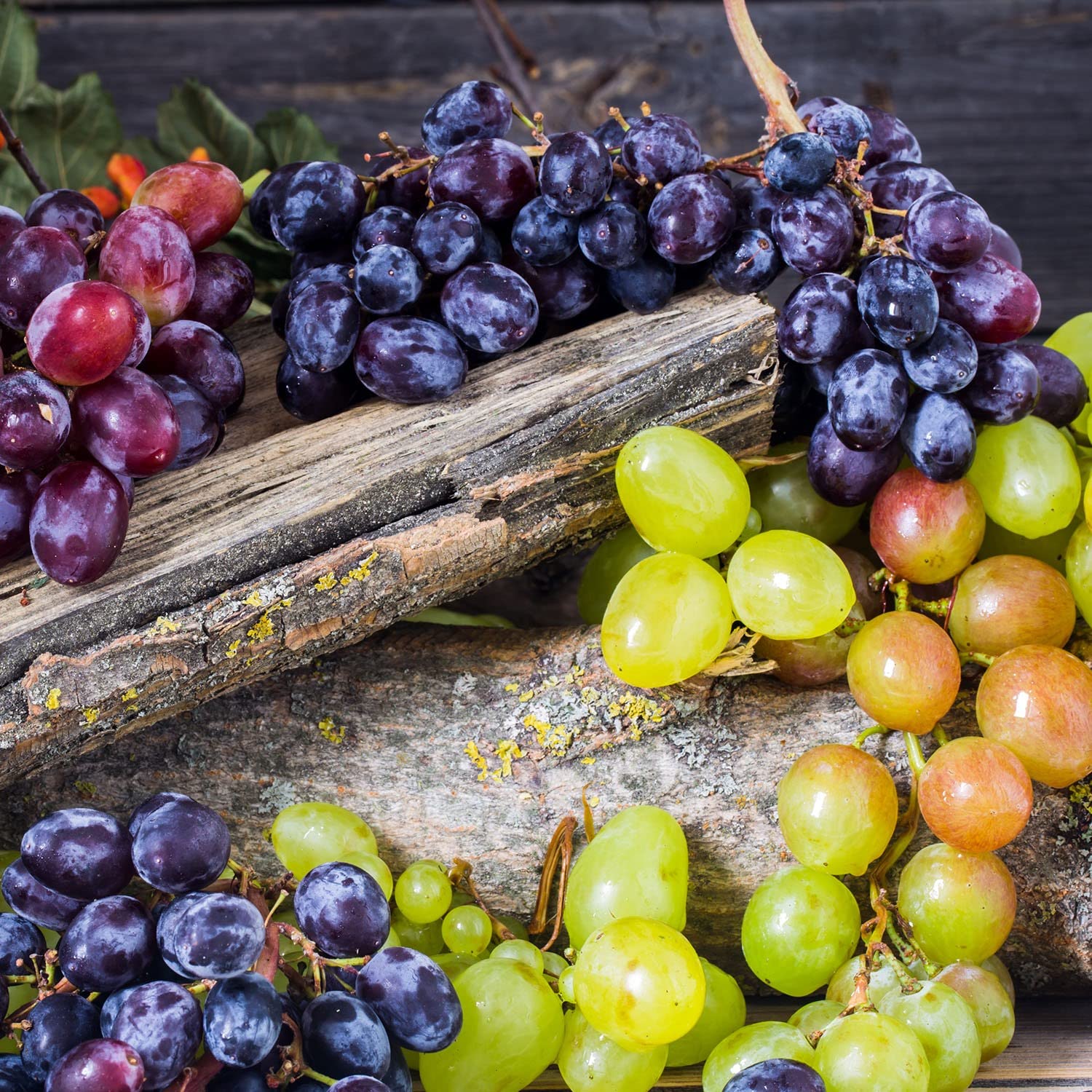 Frische kernlose Trauben sehr süß | blau, rosé und grün | 1 kg (Sultana Trauben)