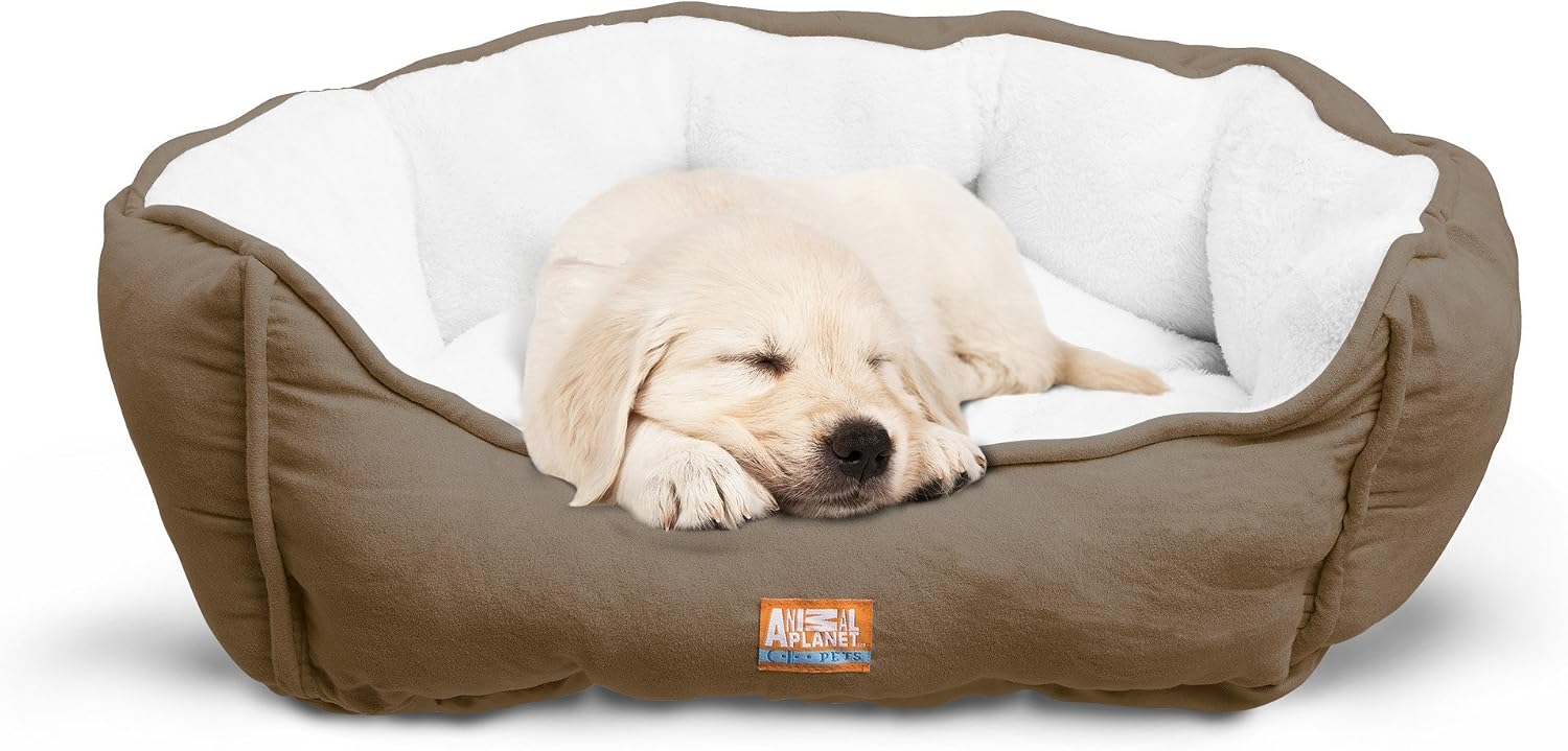 Animal Planet Round Plush Micro Suede & Sherpa Bolster Pet Bed for Dogs & Cats, Puppies, and Small & Toy Breeds; Cuddly and Warm for…