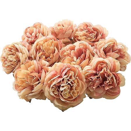 Amazon Beering 造花 牡丹 芍薬 8cm 10個セット ハンドメイド アーティフィシャルフラワー ボタン シャクヤク 花材 花の頭 花のみ フラワーヘッド フラワーアレンジメント F 040 ピンクオレンジ 造花 オンライン通販