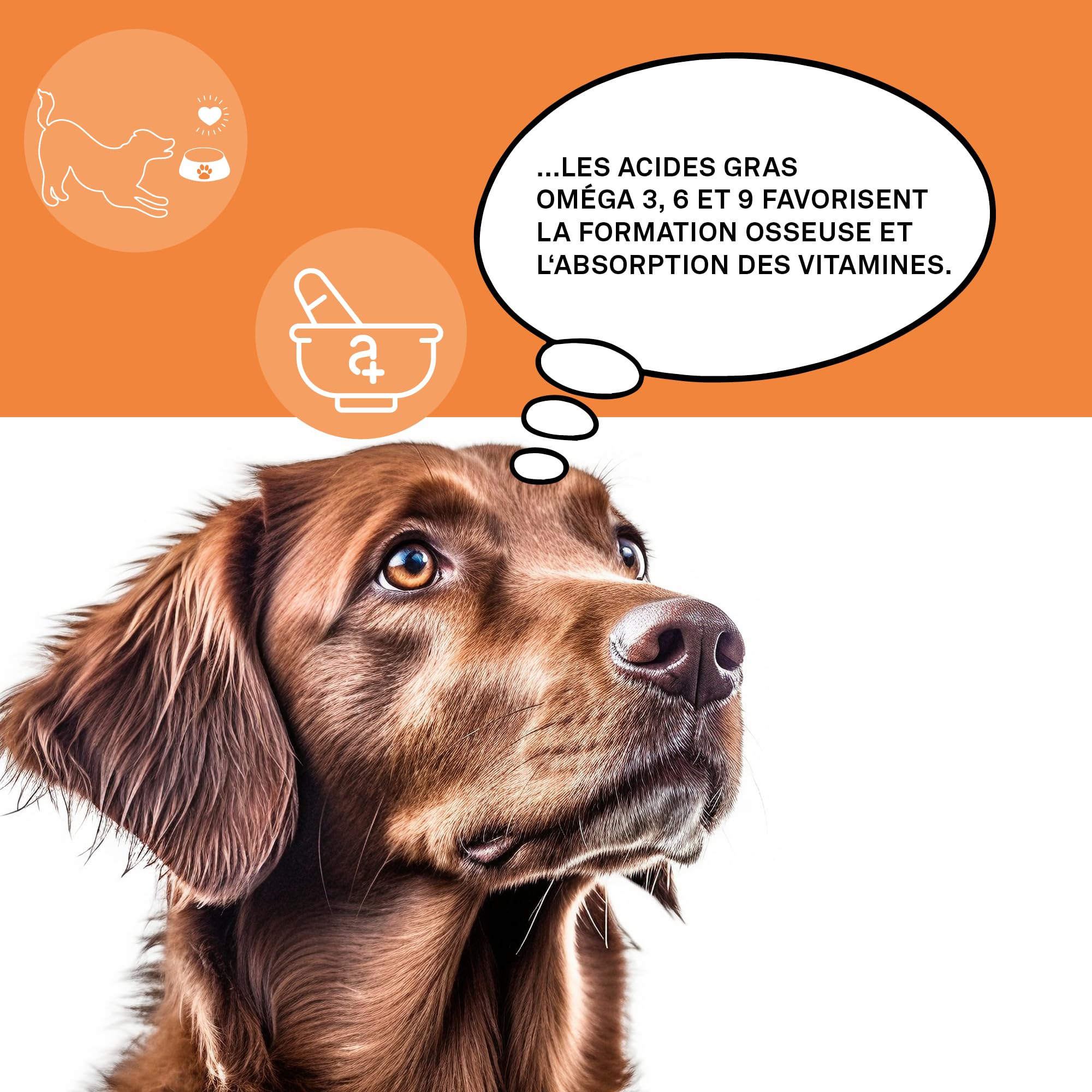 Omega 3, 6 & 9 pour Chiens - 50 comprimés à mâcher - Huile de Poisson Naturelle avec acides Gras pour Le métabolisme, la Formation des os, la Peau et Le Pelage - animaux Omega Complete Dogs
