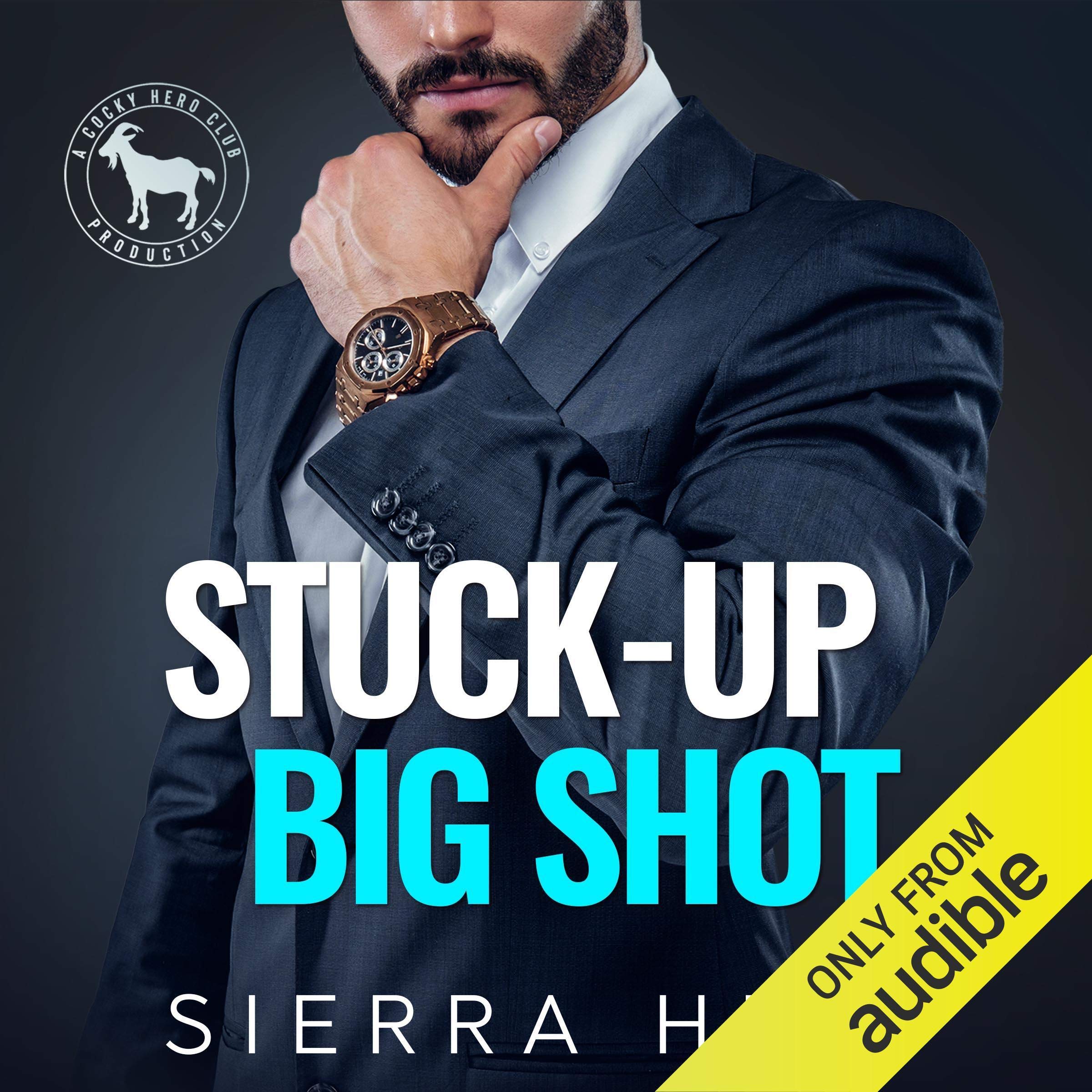Cover art for Stuck-Up Big Shot