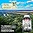 FITO MEDIC\'S Lab | Activated Charcoal Pills| 1600 mg per Serving | 240 Caps | Activated Charcoal | Ultra high Absorption, s.