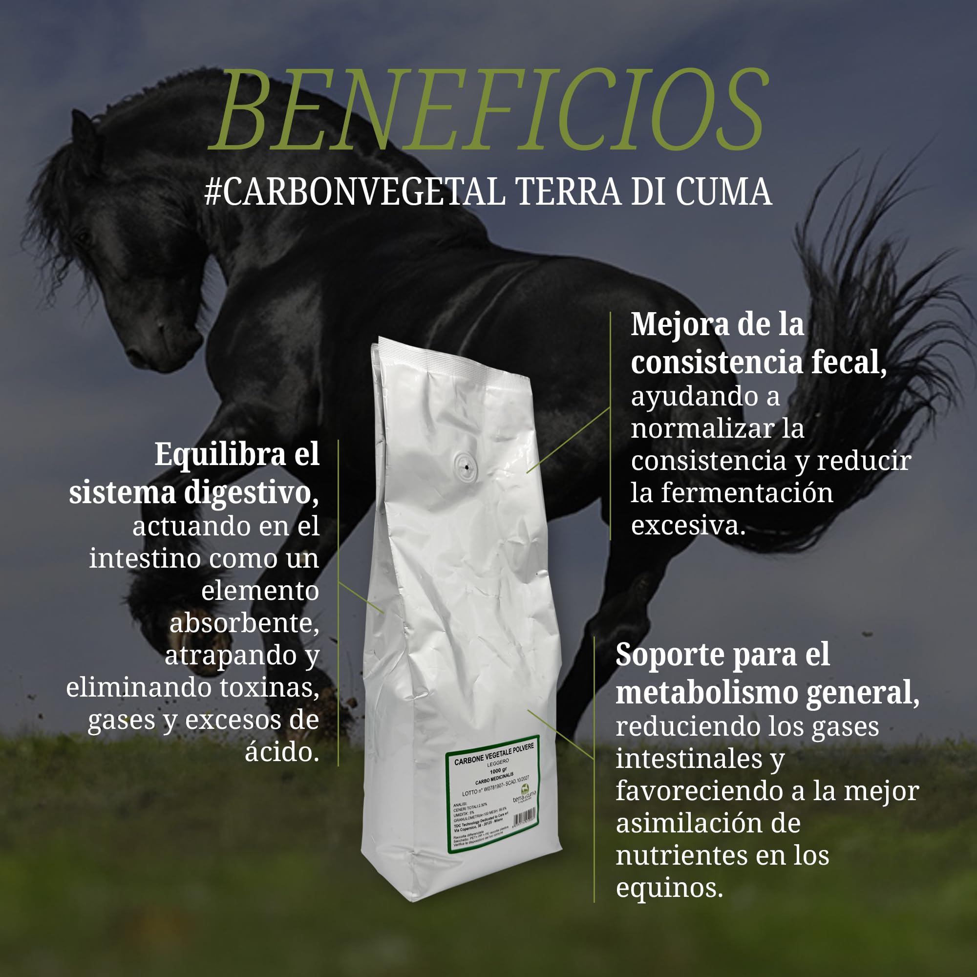 Terra Hiker - Tierra de Cuma Carbón Vegetal, 1 kg