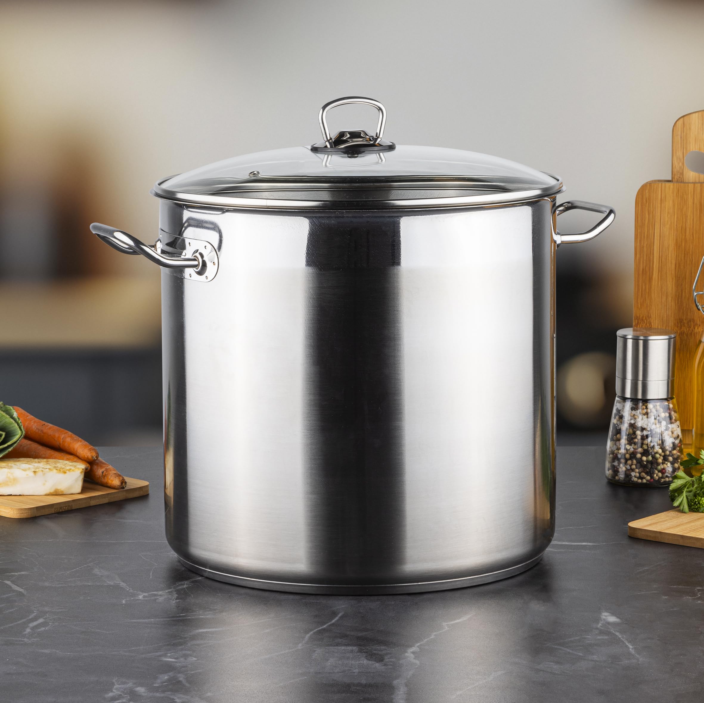 Olla universal XXL profesional, cacerola jumbo Ø 30 x 28 cm, 20 litros, aprox. 3,5 kg, plateada, para todo tipo de fuegos, incluso inducción, incluye tapa de cristal