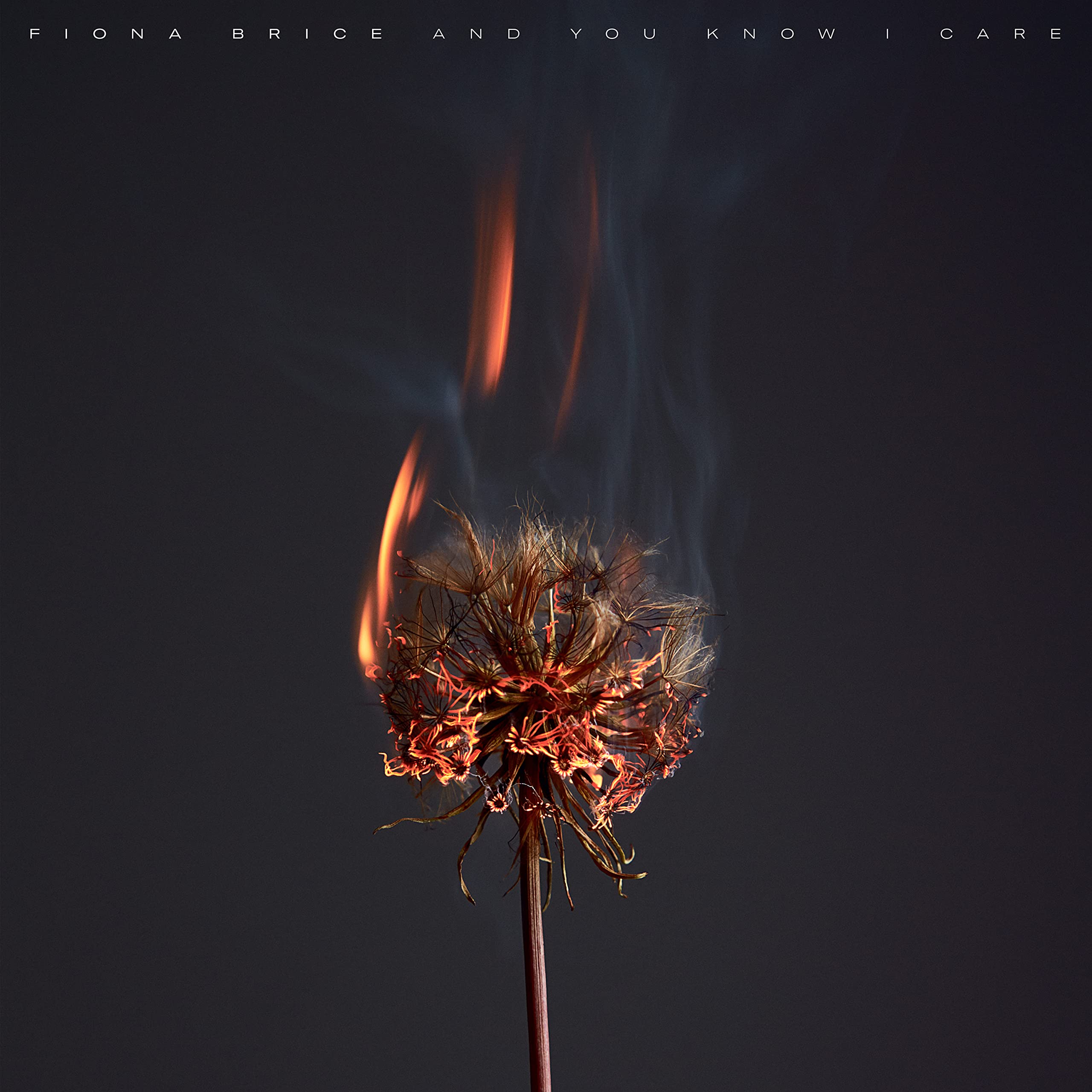 Fiona Brice: And You Know I Care