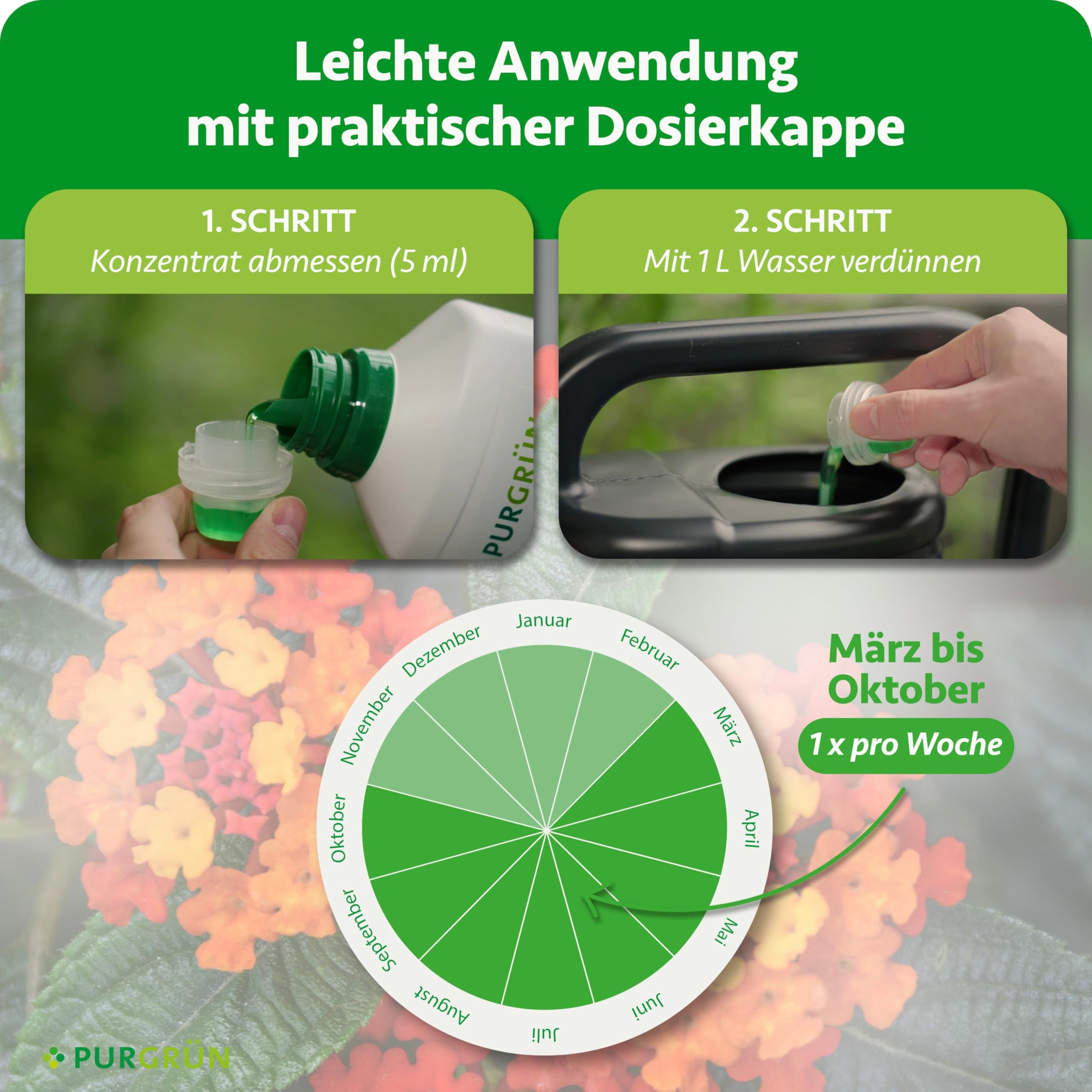 Purgrn Wandelrschen-Dnger 1 Liter  Organisch-mineralische Rezeptur   Premium-Flssigdnger mit Spurennhrstoffen  NPK 8+8+6  Mit Guano & Aqua  Plus  Fr leuchtende Blten : Amazon.de: Garten