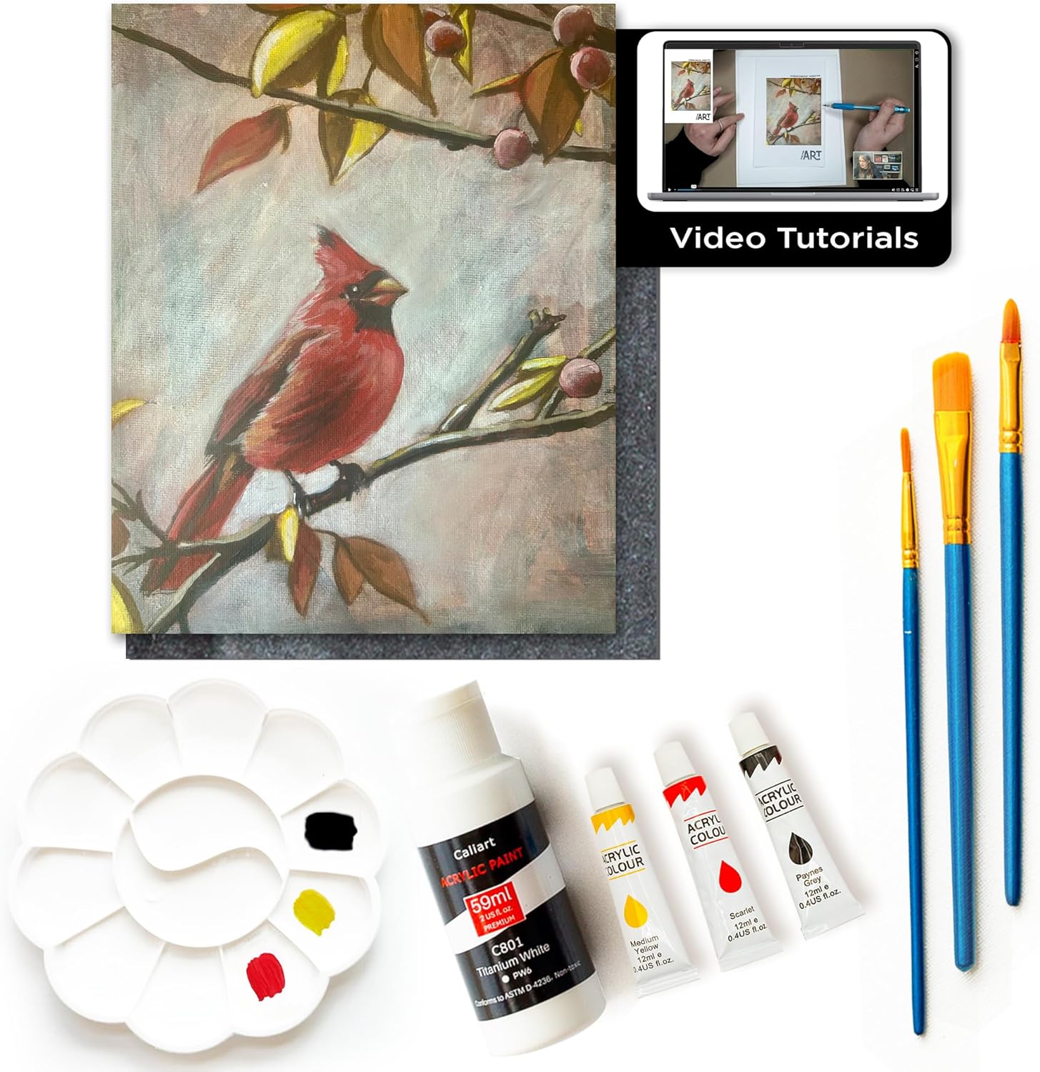 Painting4Real DIY Painting Class Kits for Adults with Video Tutorials, Learn to Paint Cardinal, How to Paint with Acrylic Paint Sets for Adult, 9 Peices Art & Painting Supplies Gifts for Mom