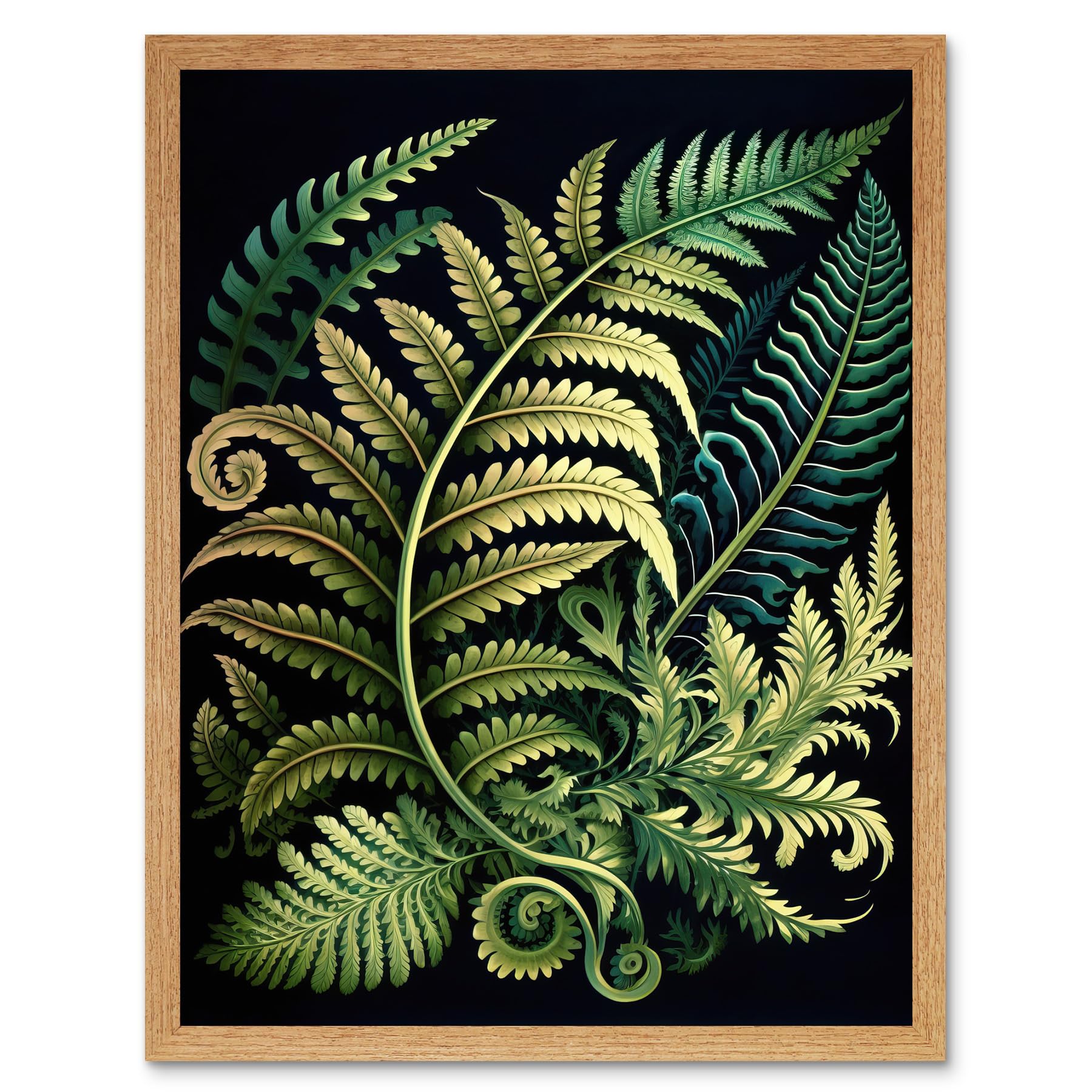 Artery8 Ernst Haeckel Style Fern Fronds Leaf Illustration Art Print Framed Poster Wall Decor 12x16 inch