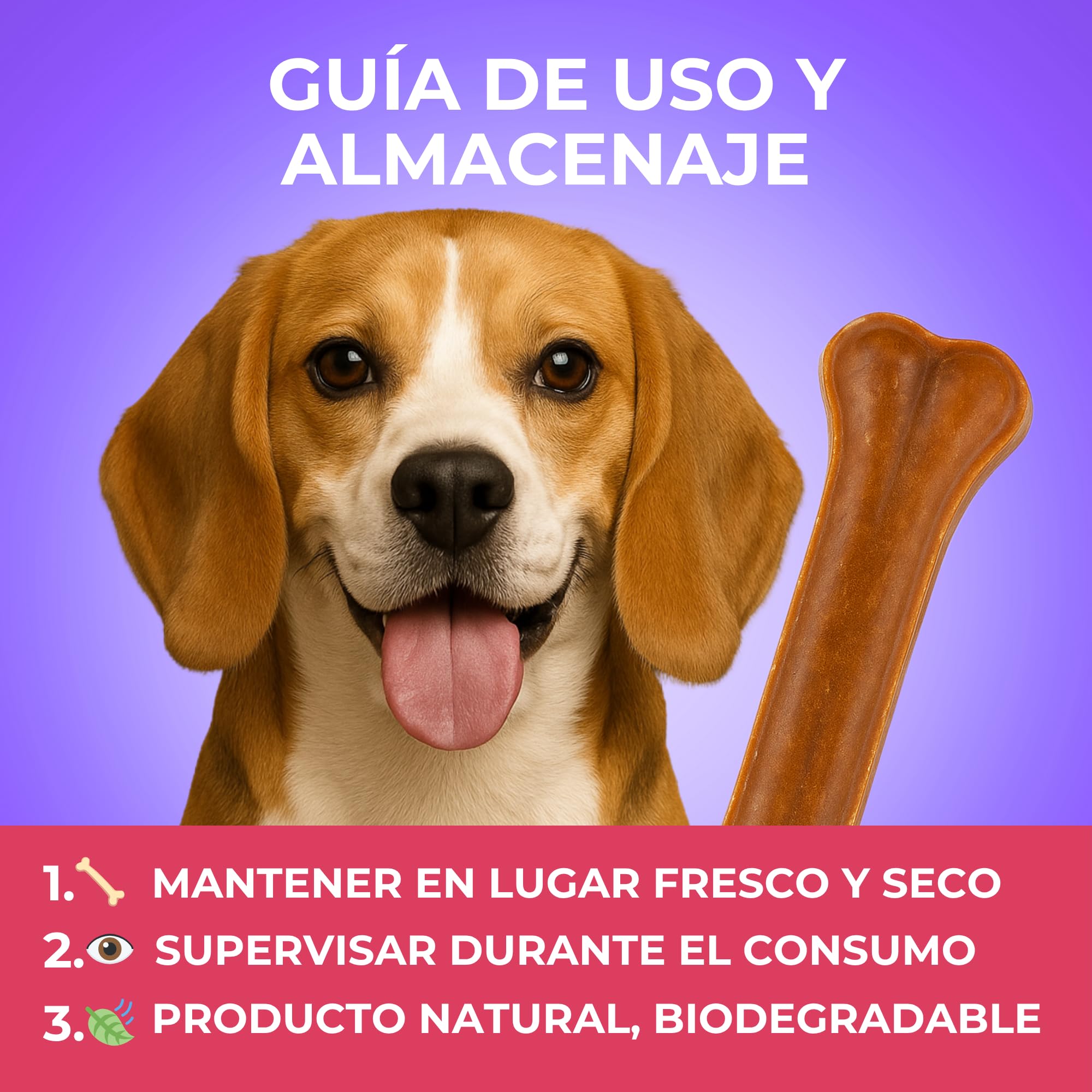 MOLY Pack 50 Huesos Prensados para Perros 8 cm | Snack Natural para Cachorros y Razas Pequeñas | Refuerza Salud Dental y Encías | Bajo en Grasa | Ocupación Prolongada y Segura