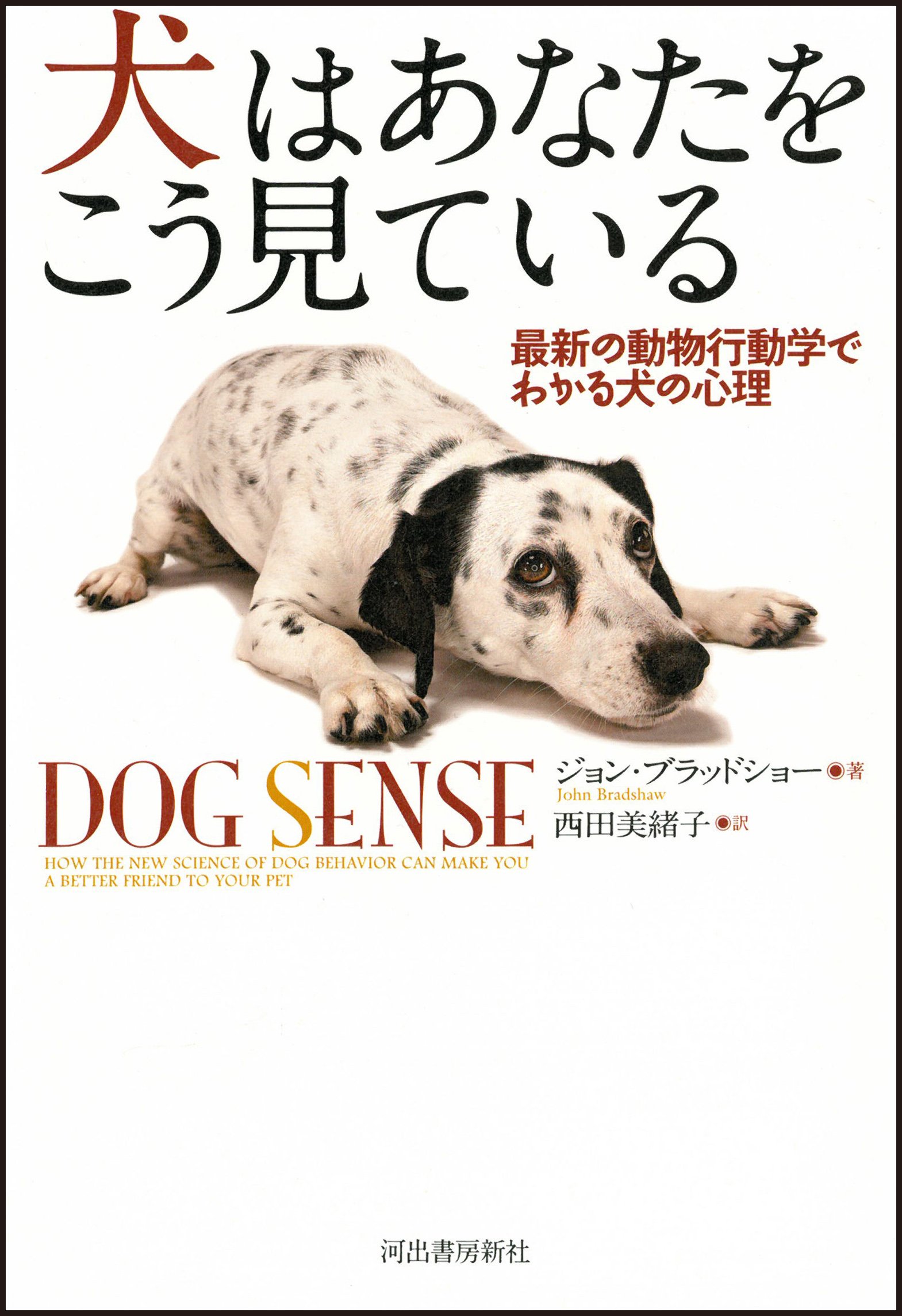 【中古】 ある犬仲間たちの物語 ジョンの愉快でちょっぴり悲しいワンワン交遊録/文芸社/やまだときお 中古】 ある犬仲間たちの物語 ジョンの愉快でちょっぴり悲しい