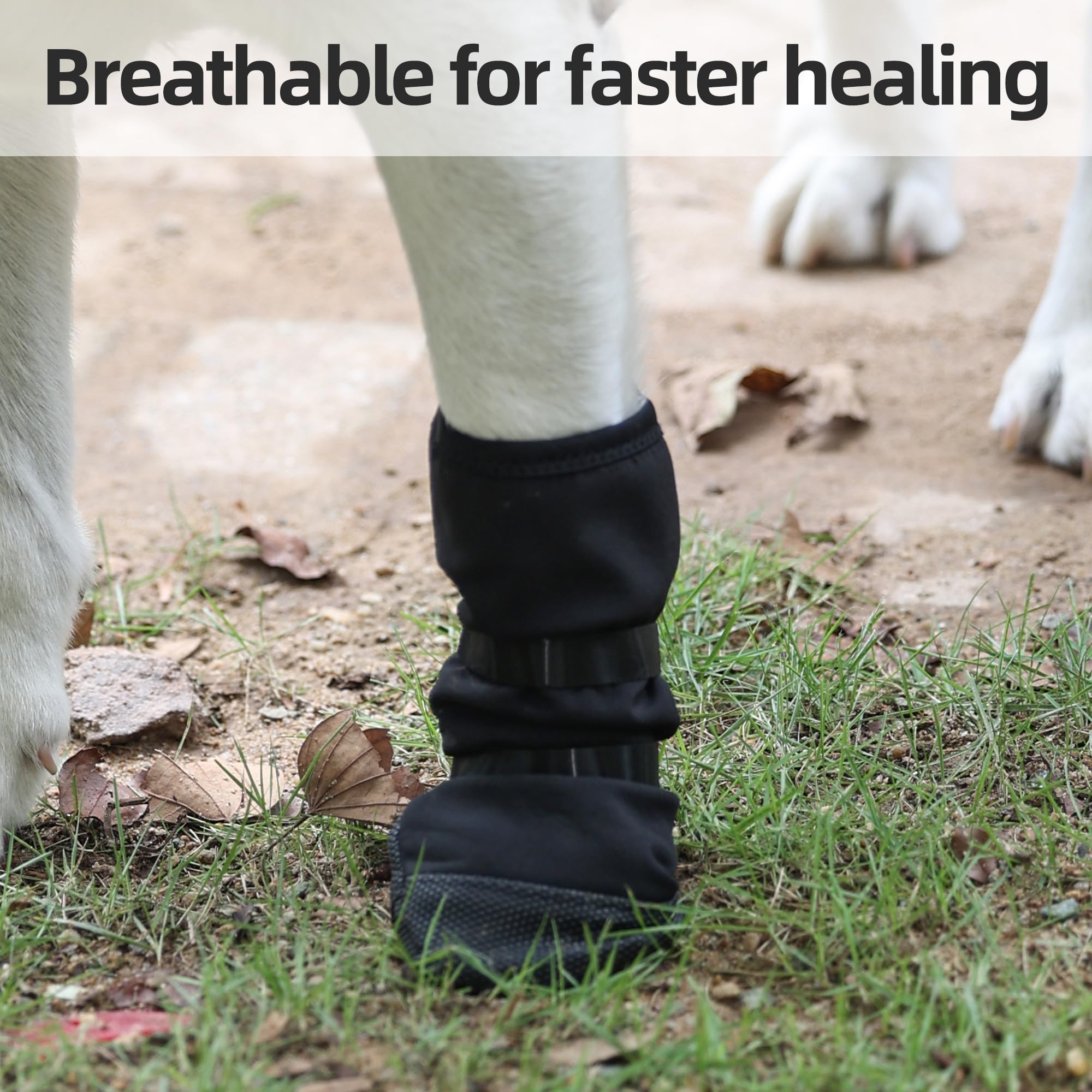 ETIAL Dog Paw Wound Recovery Boot, Breathable Dog Bootie for Injured Paw, Anti-Slip Dog Shoe with Self-Adhesive Strap, Dog Paw Protector for Outdoor Walking & Keep Dogs from Licking Wounds (M) - image 7