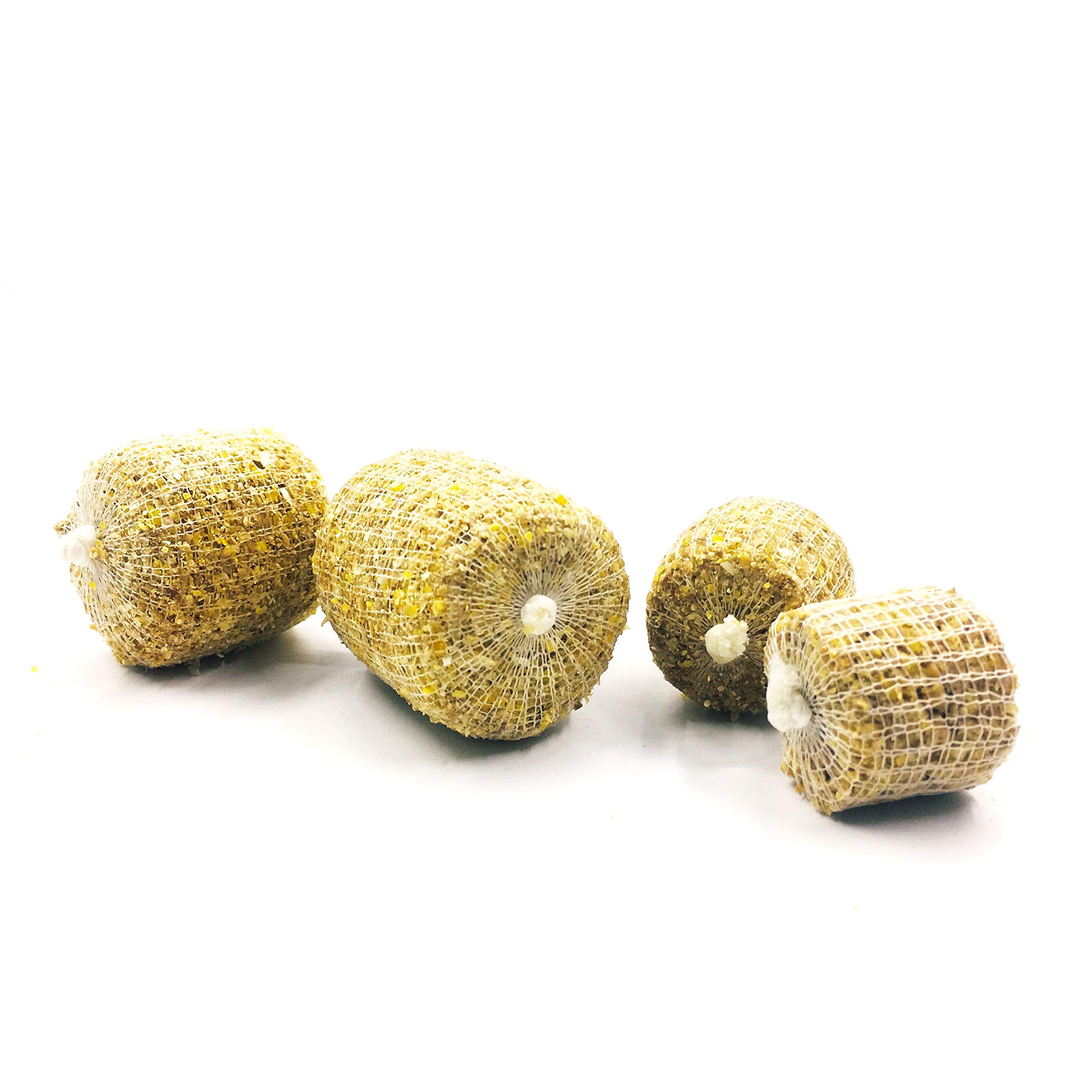 Rete PVA Westmore Per Carpa: Taglia 38 Mm (Larga) O 25 Mm (Micro) – Ricarica Borse Esche
