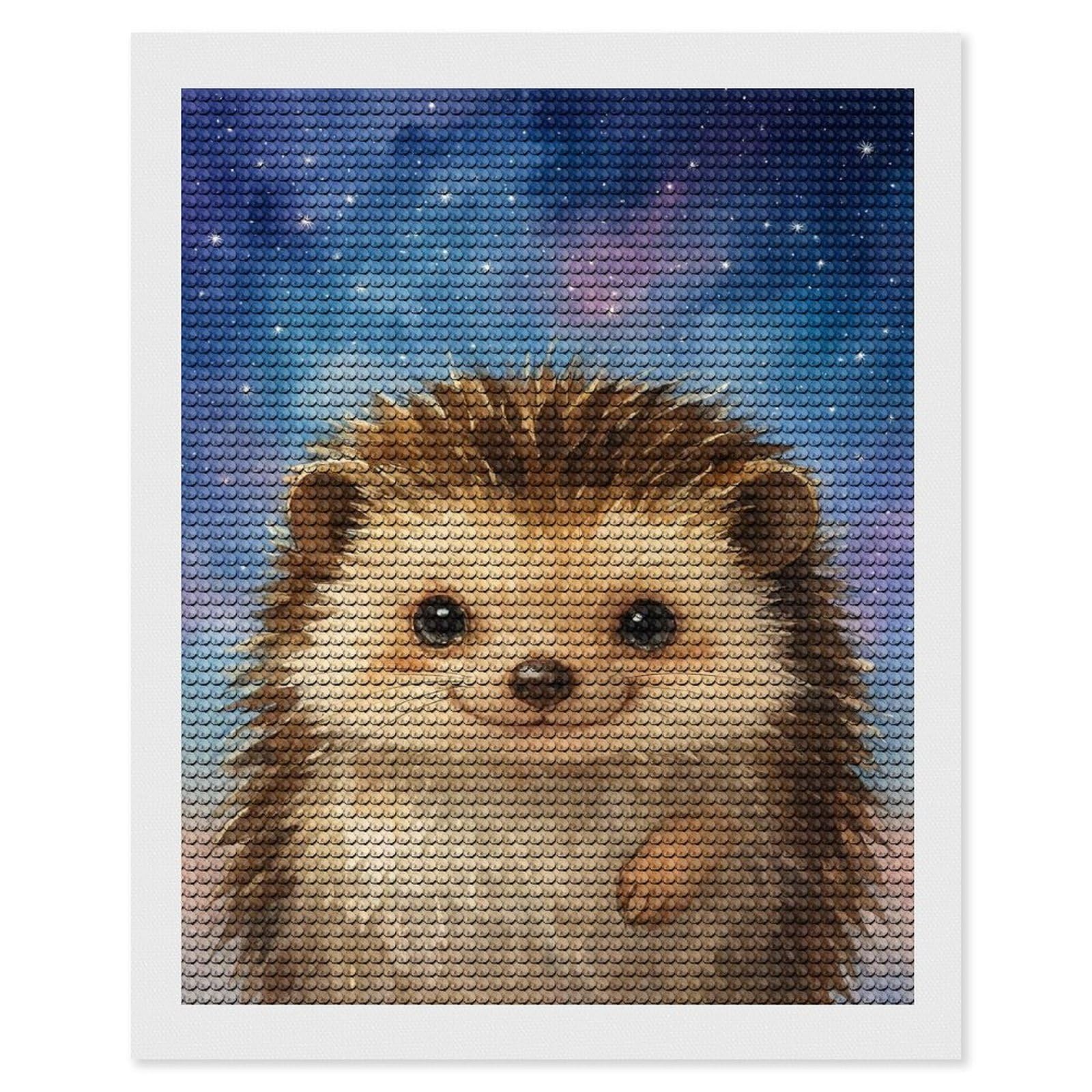 Junmoney Watercolor Hedgehog in Starry Sky Diamond Painting Canvas Set 16"x20", for Adults, Decorate Your Room, Festive Craft Gift, Office Decor