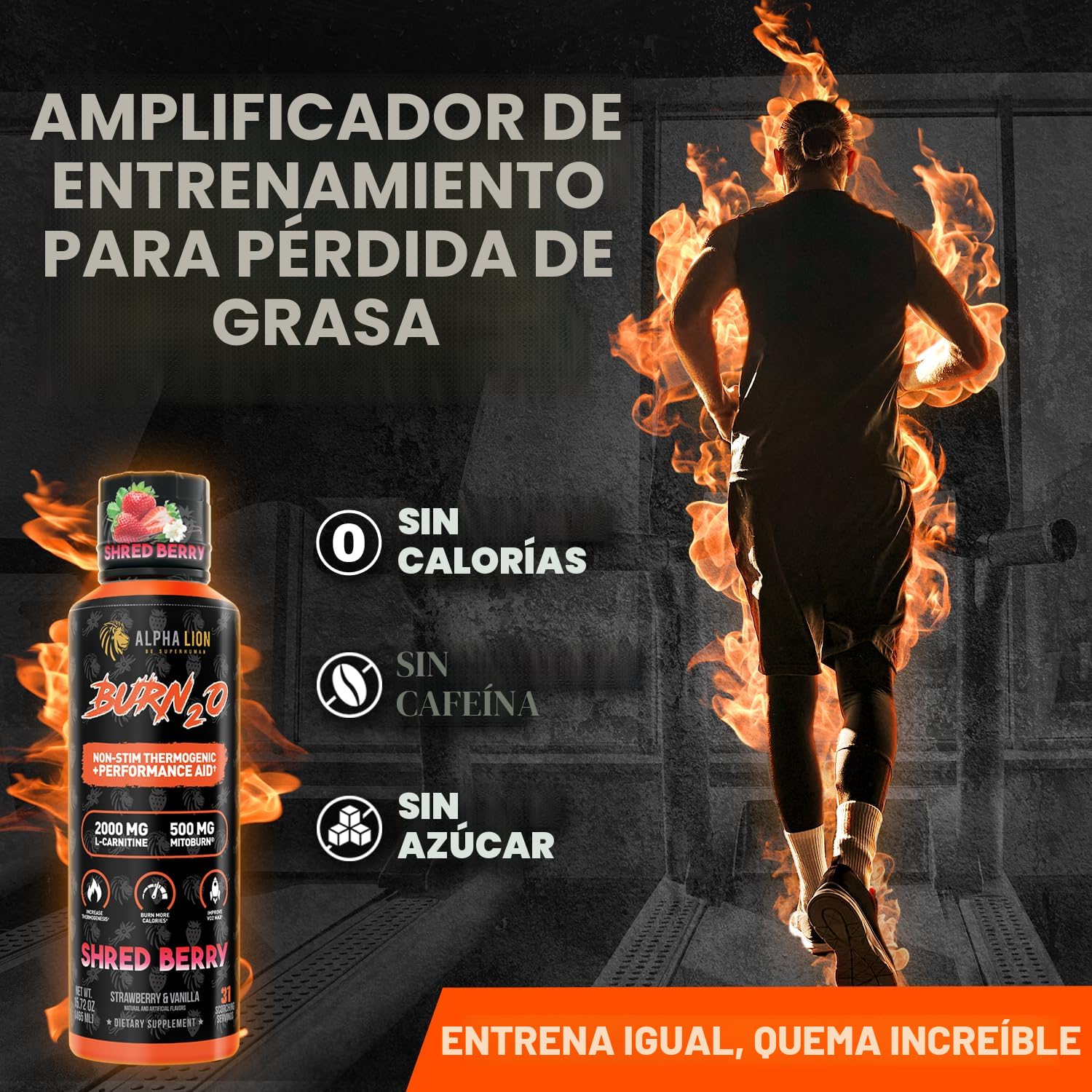 Amazon.com: ALPHA LION Burn2O L-carnitina líquida 2000 mg, quemador de grasa  líquido premium y suplemento para antes del entrenamiento para hombres y  mujeres, potenciador de energía natural y metabolismo para : Salud