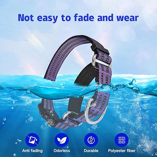 Miniatura 4 de Martingale - Collar para perro, collar reflectante de nailon ajustable con hebilla. Sin tirones para perros pequeños, medianos y grandes. Evita que