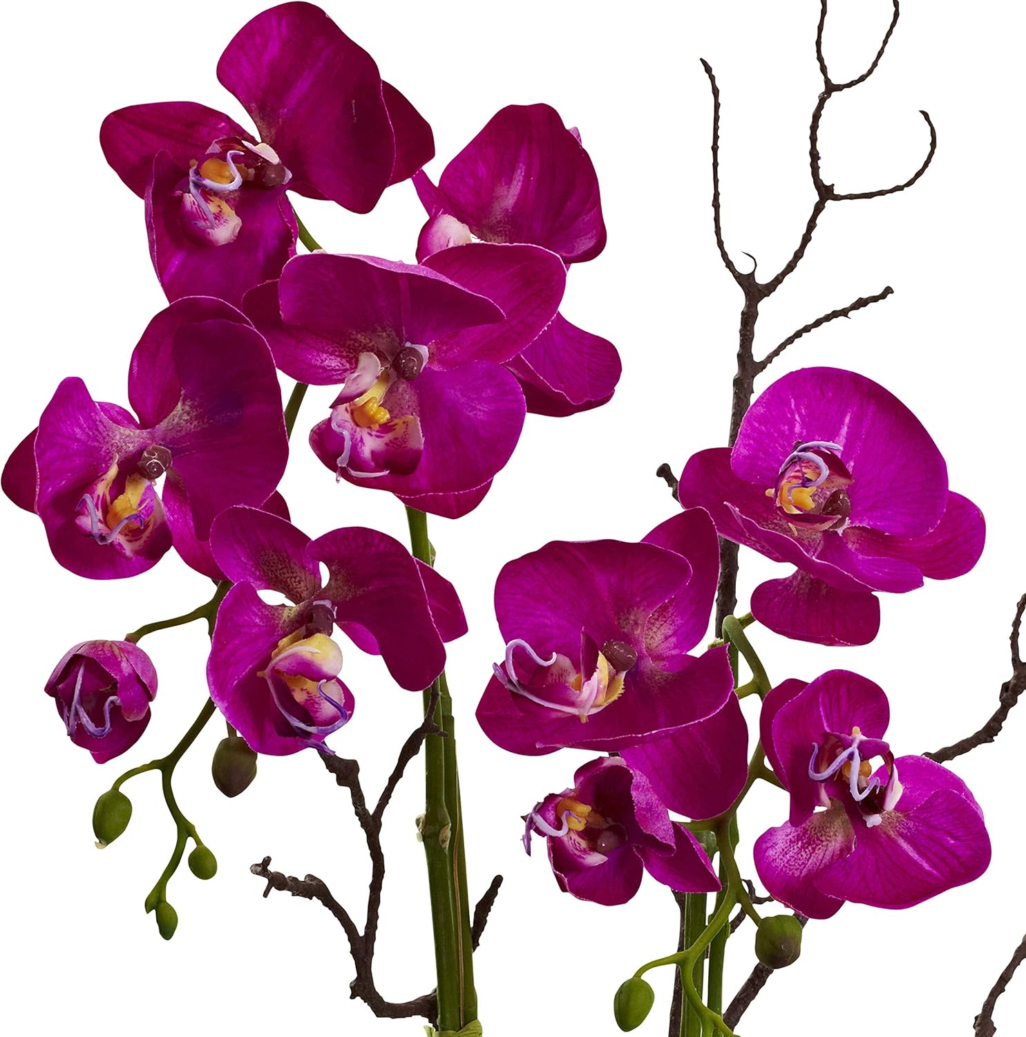 Nearly Natural Orchid & Succulent Floral Arrangement