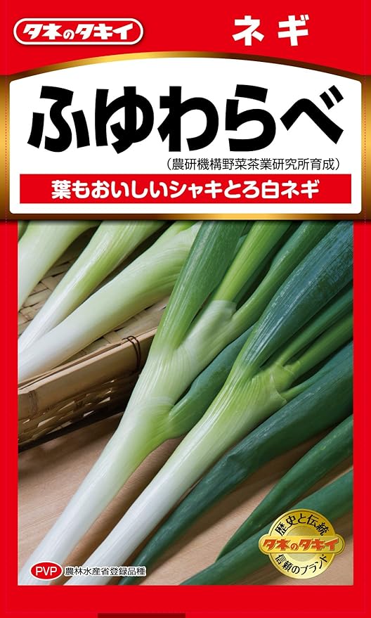 Amazon タキイ種苗 ネギ 冬わらべ 野菜
