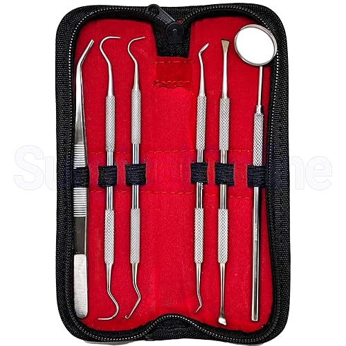 Miniatura 2 de SURGICAL ONLINE Kit de herramientas dentales profesionales, kit de limpieza de dientes, kit de cuidado bucal para púas de dientes, espejo dental,