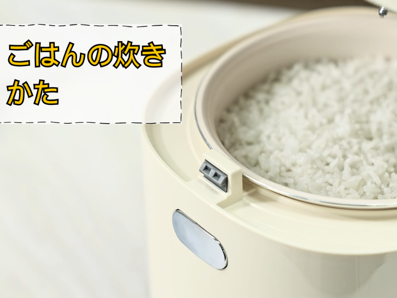 Amazon | KEECOON 炊飯器 3合 一人暮らし 3合炊き 炊飯器 ミニ 低温