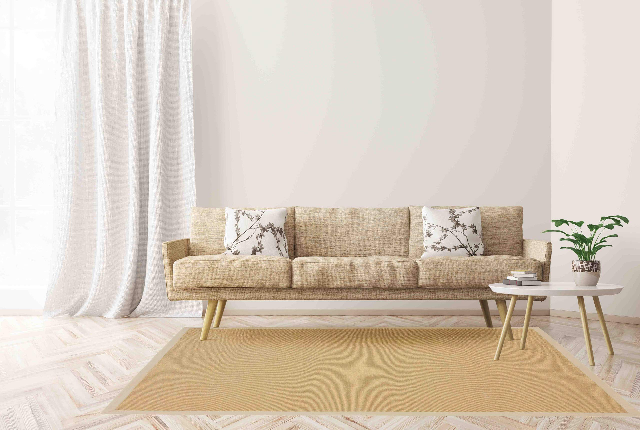 carpetfine Alfombra Natural de Sisal Beige 160x230 cm | Alfombra Moderna para salón y Dormitorio