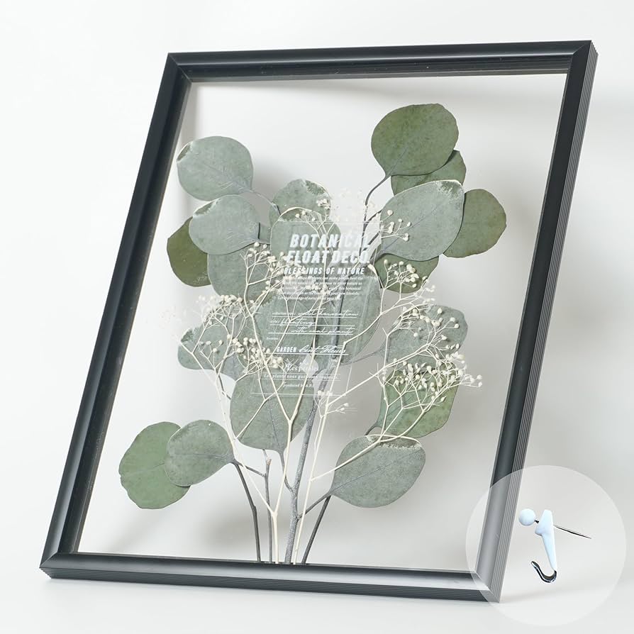 植物絵画　額入り 植物絵画 額入り