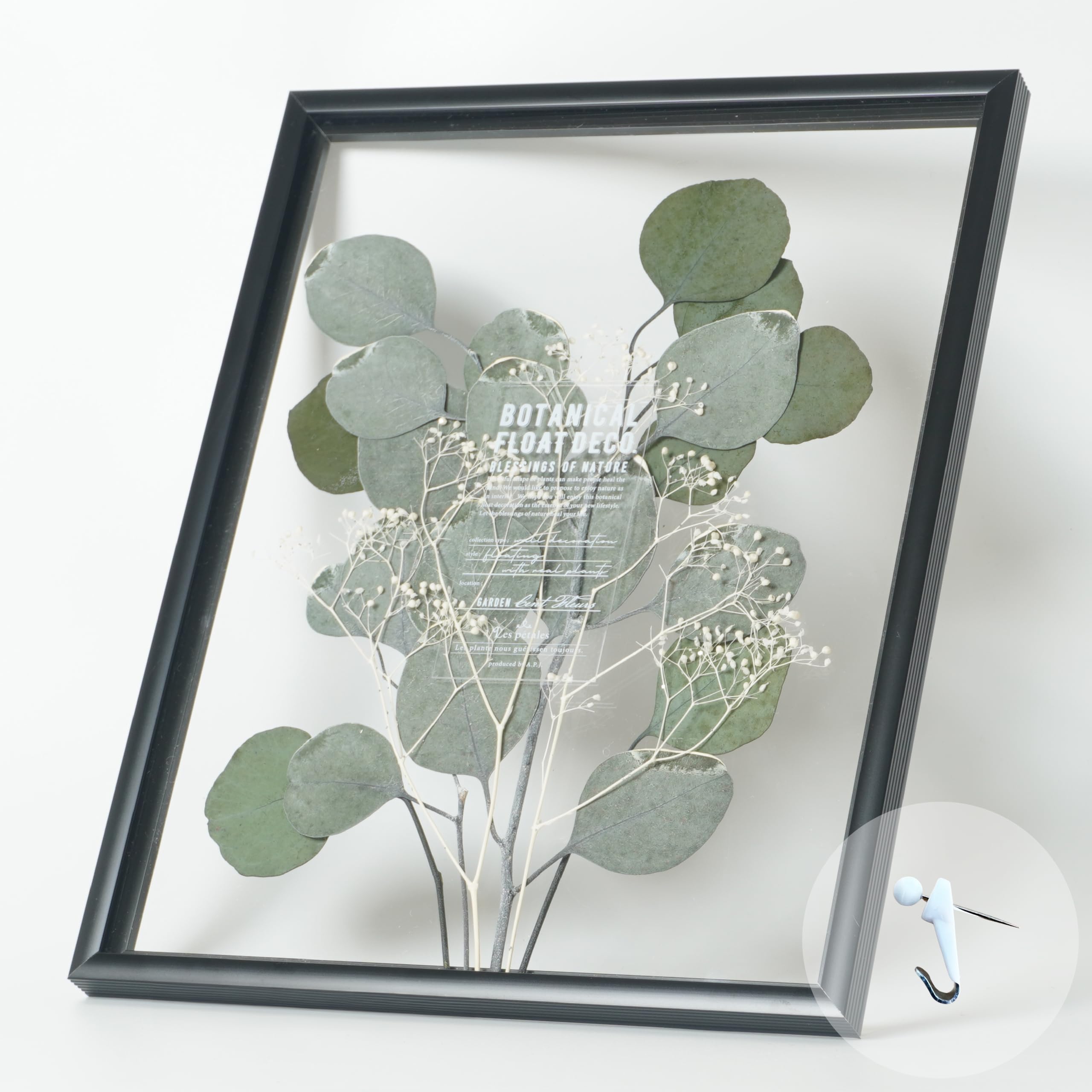 Amazon.co.jp: RingLeaf ボタニカル フロート額装 自然素材の