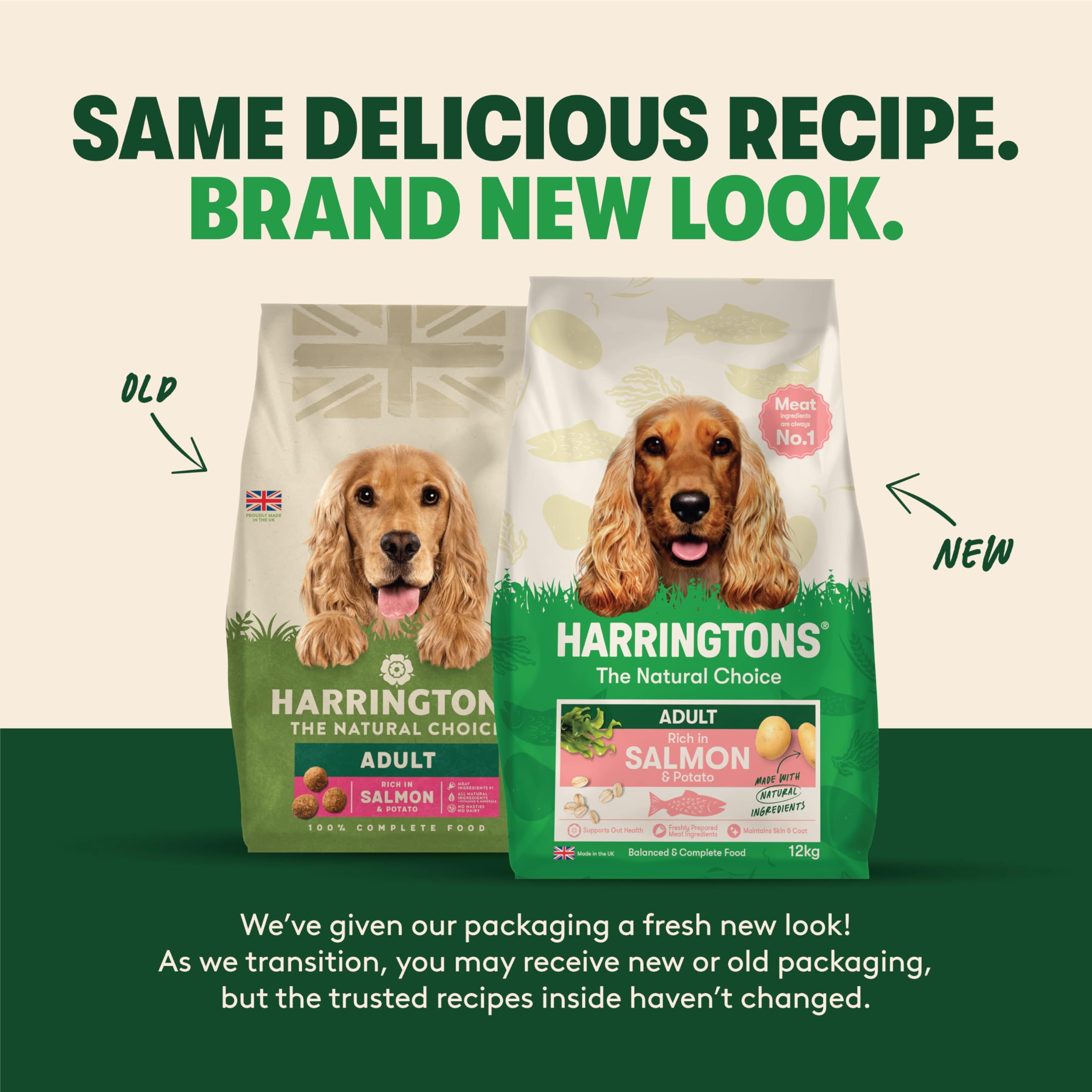 Harrington Complete - Comida para perros, Rico en salmón y papa, 12 kg