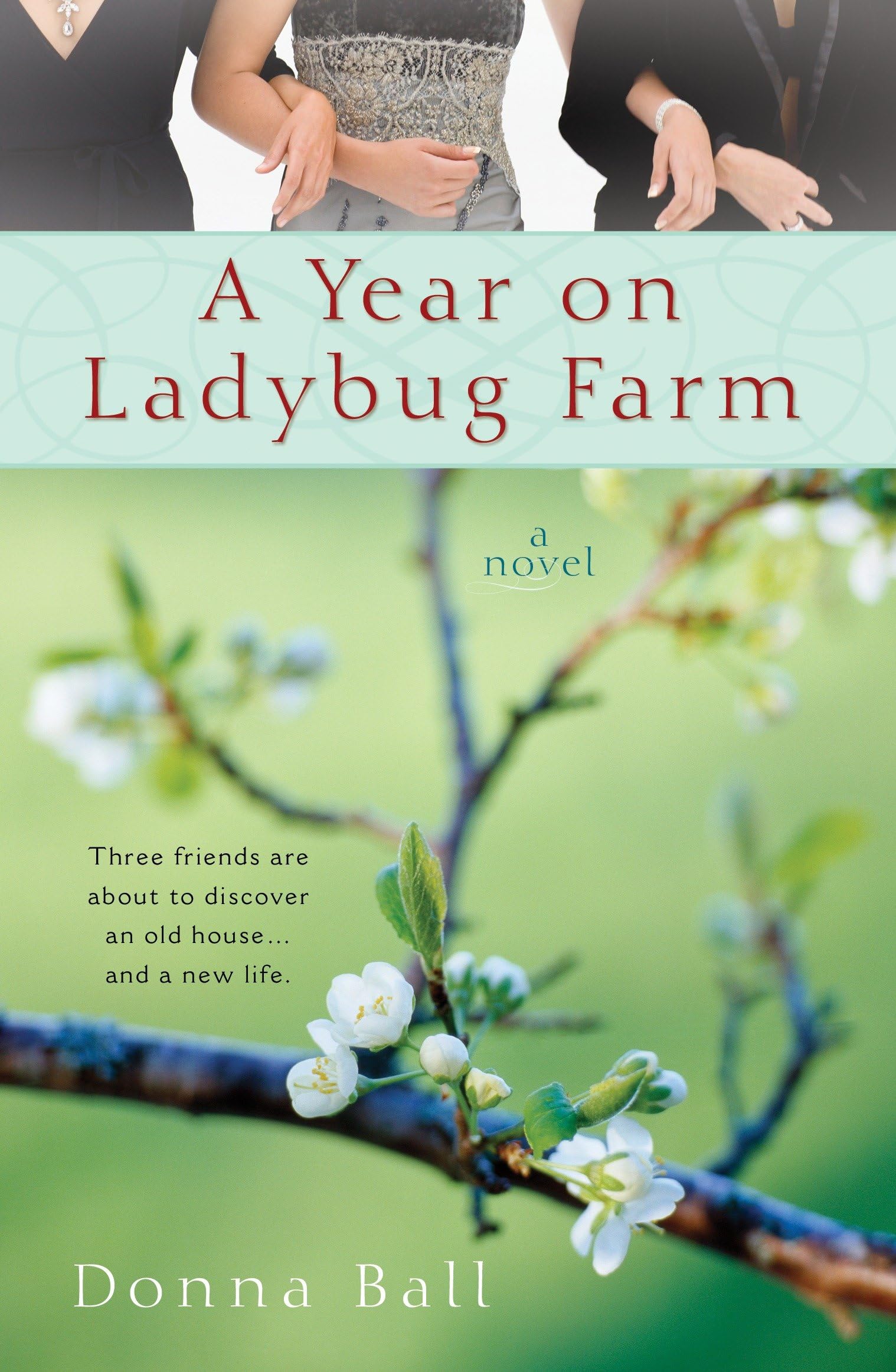 A Year on Ladybug Farm (A Ladybug Farm Novel) Paperback – March 3, 2009