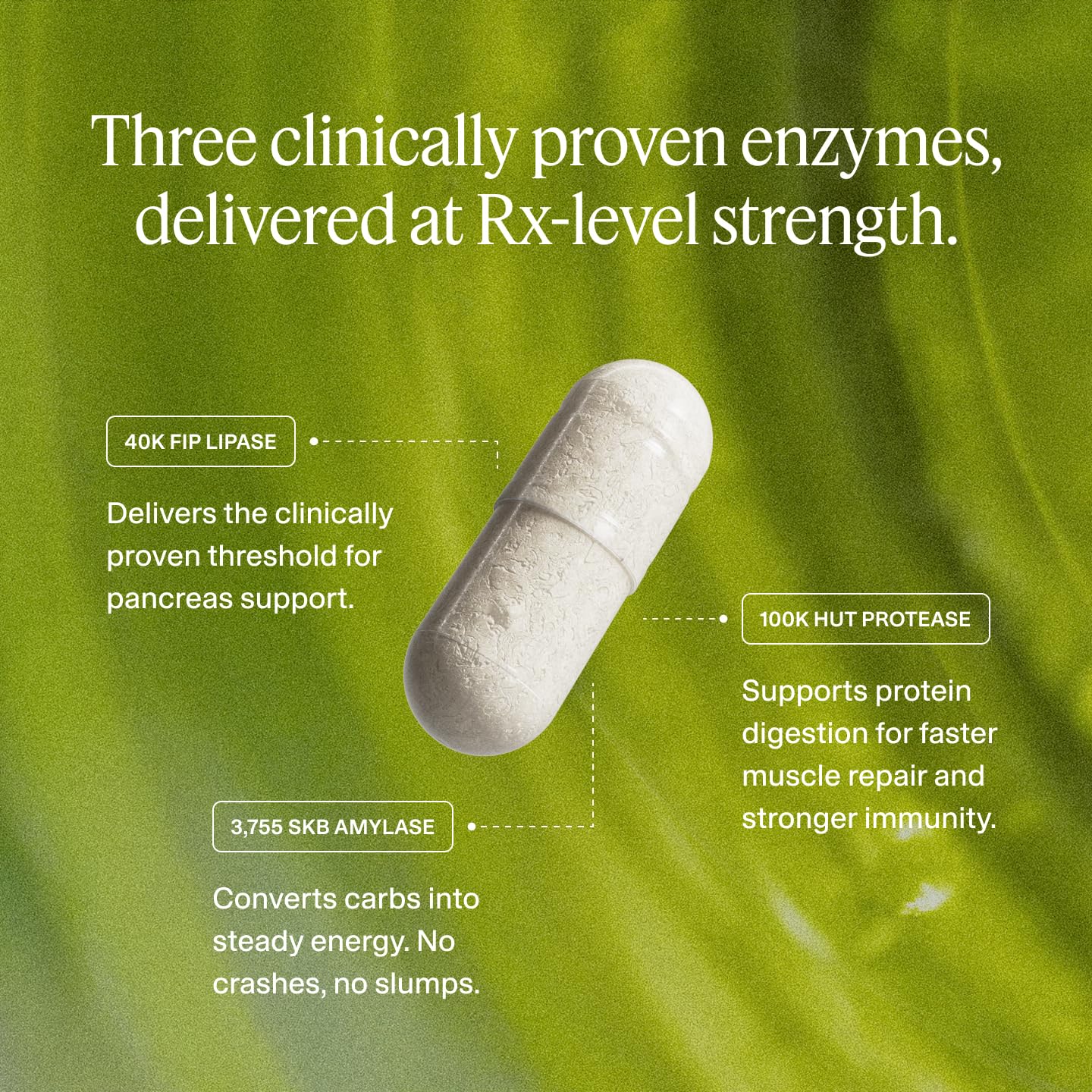 Digestive Enzymes | 40,000 USP Lipase - Prescription Strength Pancreatic Enzyme Replacement Formula for Fat Digestion, Gut Health & Nutrient Absorption - Fermented, Vegan, High Potency — Amazon image 6