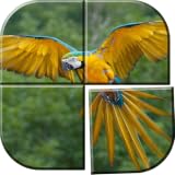 Vogel Puzzle Spiele Kostenlos