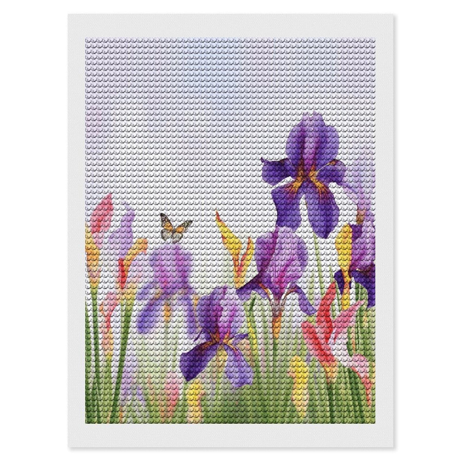 Pintura de puntos de diamante de mariposas y flores iris para adultos y principiantes 8
