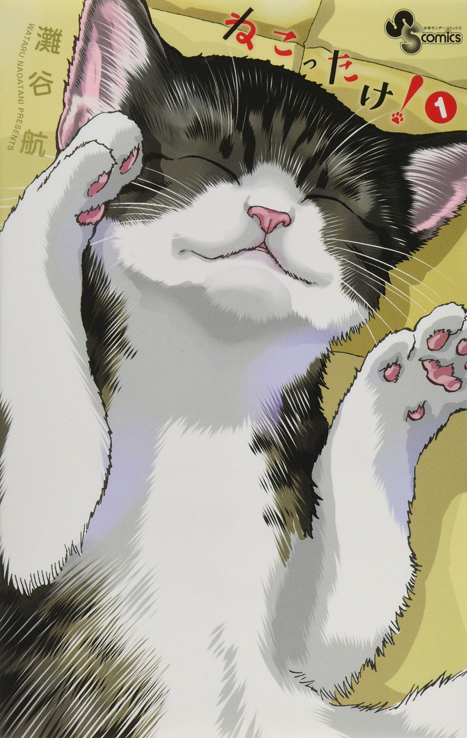 ねこったけ 1 少年サンデーコミックス 灘谷 航 本 通販 Amazon ねこったけ 1 少年サンデーコミックス 灘谷 航 本 通販 Amazon