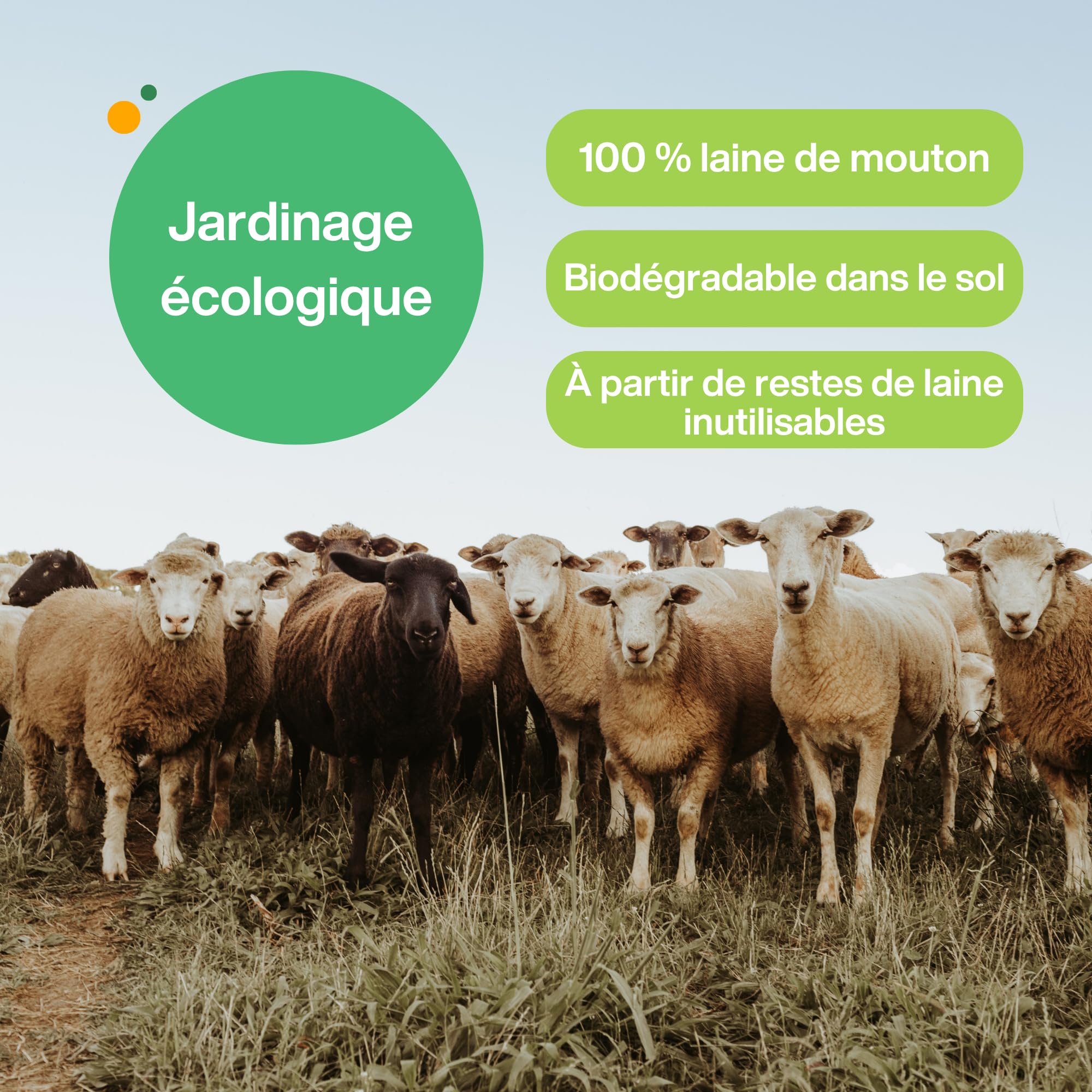 UNIGARDIA Feutre de Laine de Mouton 80 x 500 cm - Paillage Jardin 100% Naturel et Biodégradable - Tapis Sol Isolant Thermique pour Plantes - Protection Hivernale et Anti-Limaces