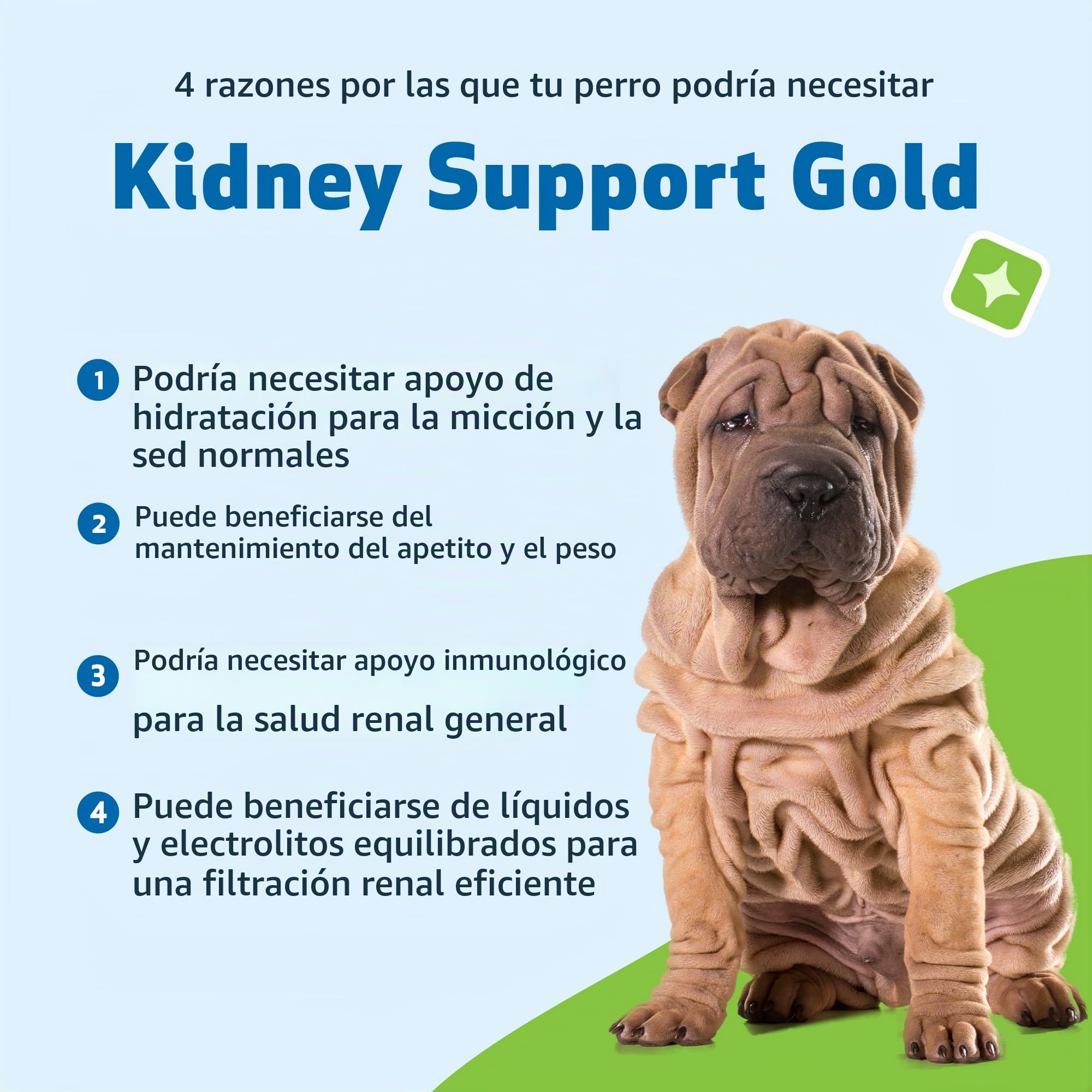 Pet Wellbeing El Apoyo del Riñón para Perros - Soporte Natural para La Salud De Riñón Canino ()