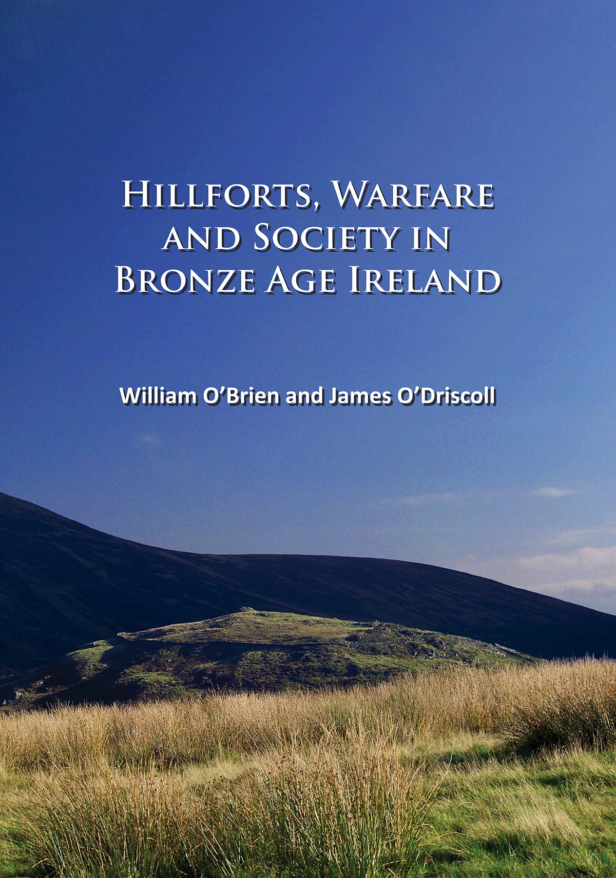 Hillforts, Warfare and Society in Bronze Age Ireland by James O’Driscoll