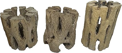 Vista 40 de Soportes de exhibición de plantas de aire grandes de madera cholla natural, soportes decorativos individuales únicos o soporte