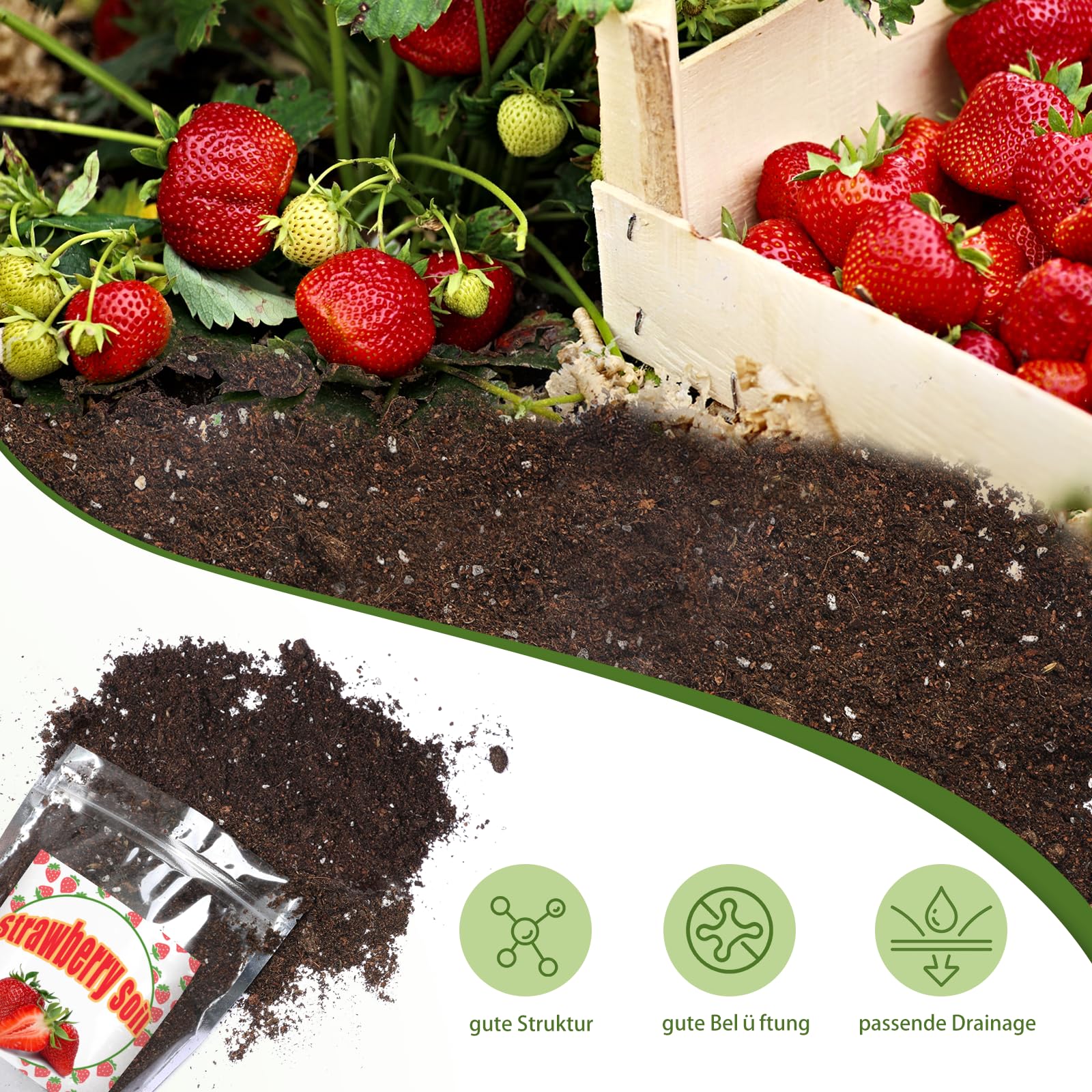 GOTVUGE Bio-Erdbeer-Erde Mischung 1L, Zimmerpflanzen-Blumenerde fr alle  getopften Erdbeerpflanzen, Gesunde Zimmerpflanzen drinnen zchten :  Amazon.de: Garten