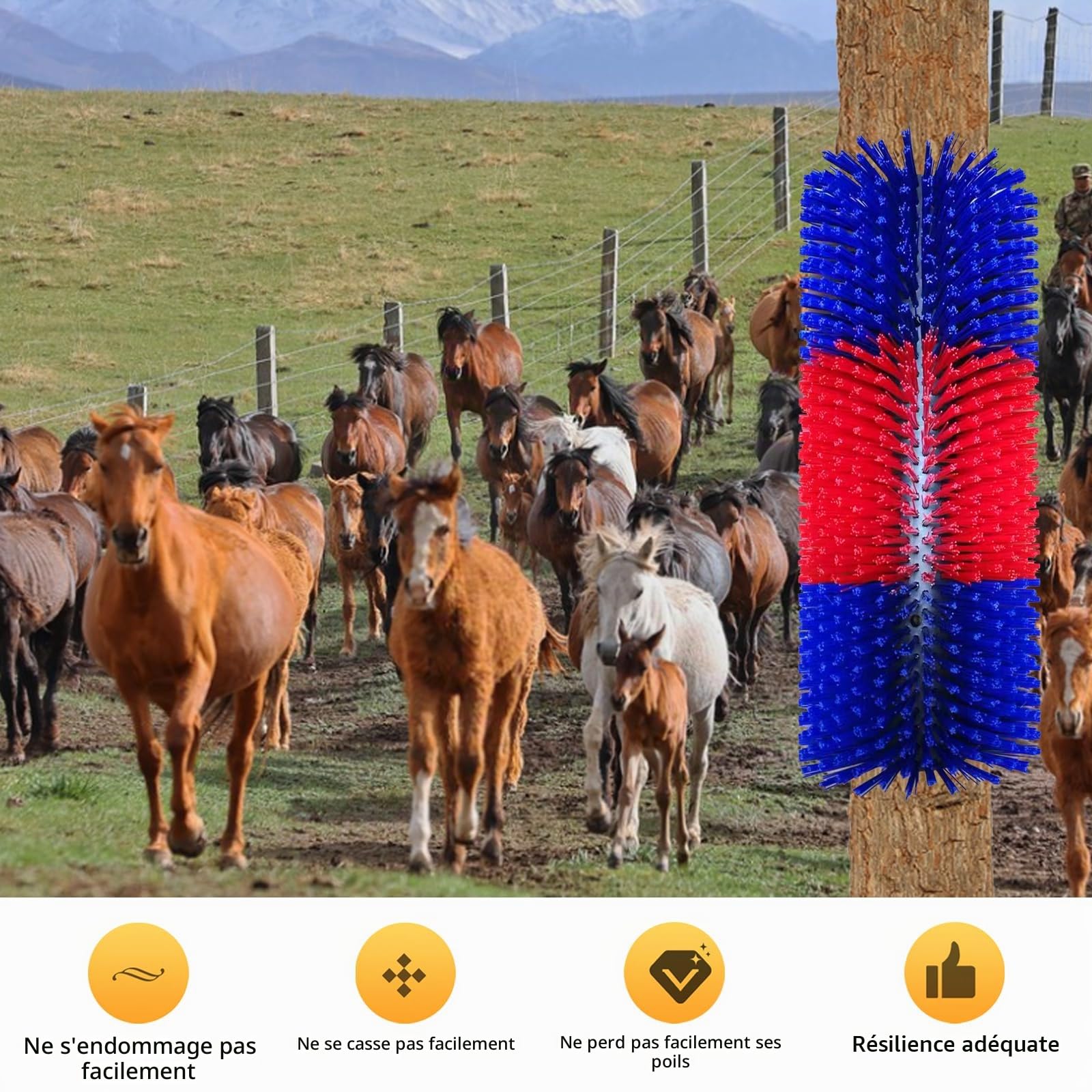 Brosse à Gratter pour Cheval Vache, Brosses à Cheval Semi-Rondes 40cm Brosses à Vache Brosse à Gratter Universelle Tapis à Gratter en Nylon, Rouge Bleu