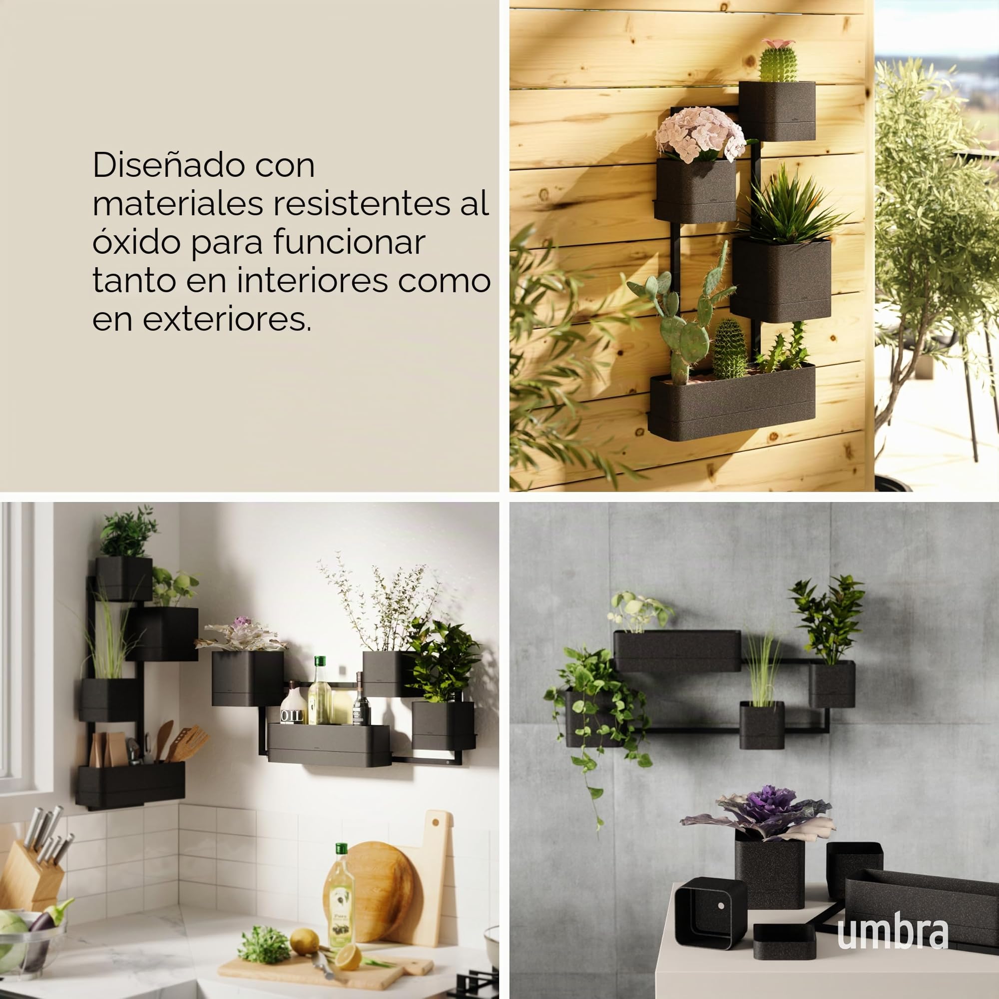 Umbra Cubiko Macetero de Pared, Soporte de Metal geométrico, Negro