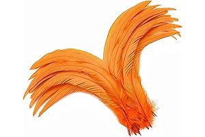 Holmgren 60Pcs Orange Rooster Feathers: Elevate Your DIY Crafts and Performances