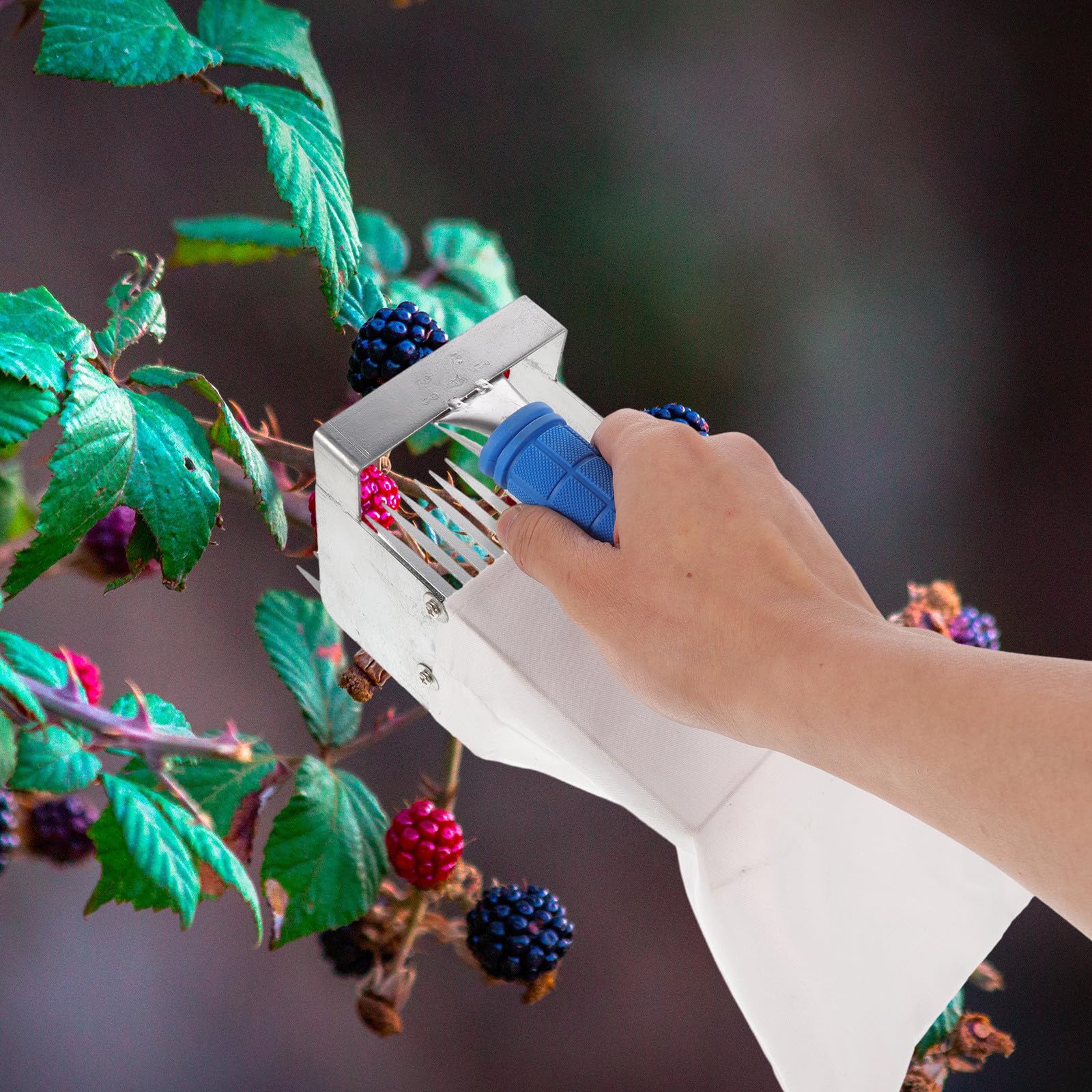 Alasum Pala para Recoger Arándanos Mango Ergonómico y Herramienta Dentada para Cosecha en Huertos Herramienta de Jardinería para Recolectores Color Aleatorio