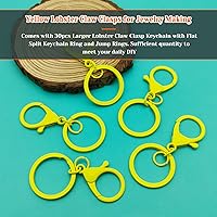 Vista 30 de 30Pcs Lobster Claw Clasps Keychain for Jewelry Making,Metal Lobster Clasp Swivel Trigger Clips with Jump Rings Flat Split Keychain Ring for DIY