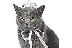 Elegant Tiara for Petite Pups: Lovelyshop Pet's Dazzling Crown