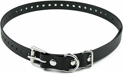 einstein dog collar